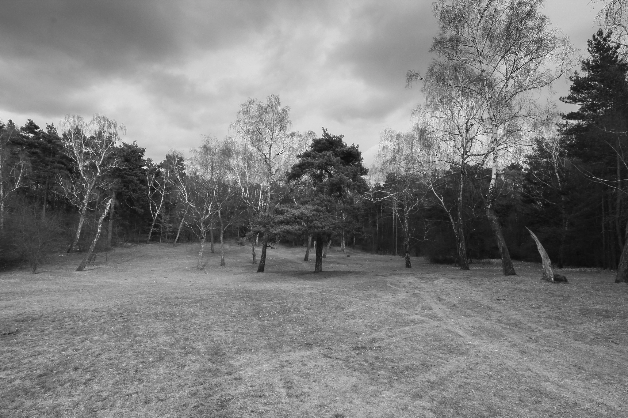 Tokina AT-X Pro 12-24mm F4 (IF) DX sample photo. * * * photography