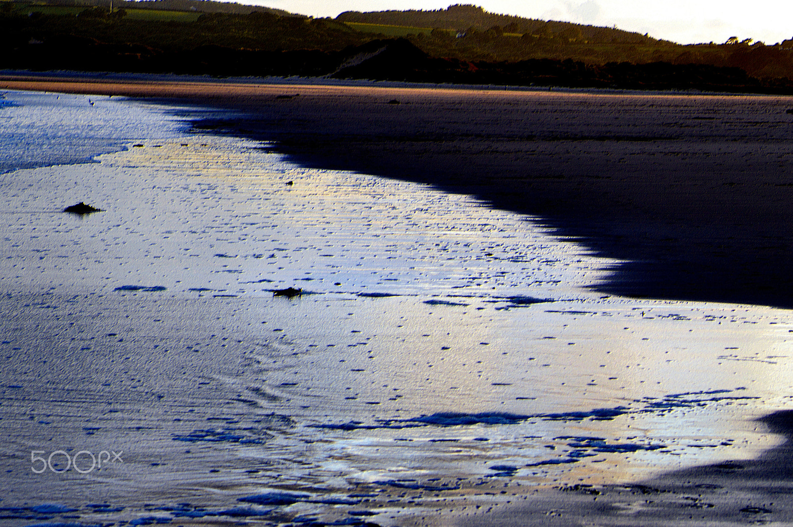 Sigma 70-300mm F4-5.6 APO DG Macro sample photo. The gower photography