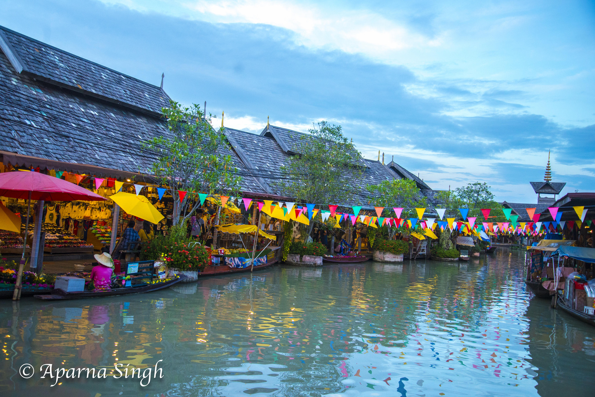 Nikon D800 sample photo. Floating market photography