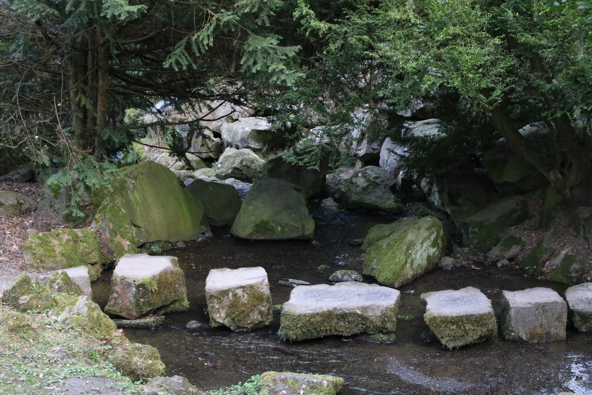 Canon EOS 760D (EOS Rebel T6s / EOS 8000D) sample photo