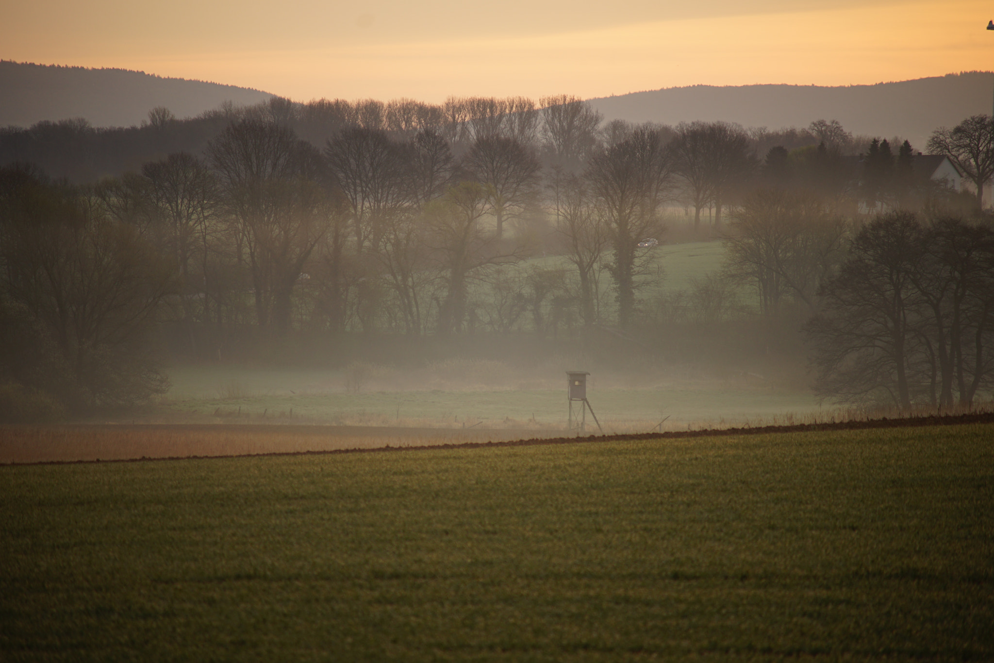 Sony a7 II + Minolta AF 70-210mm F4 Macro sample photo. Hochsitz im nebel photography