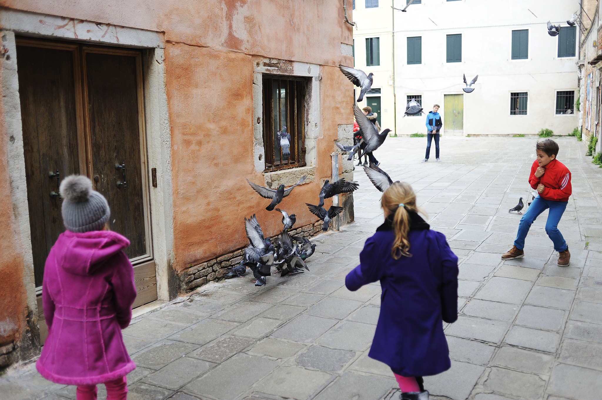 Nikon D700 + Nikon AF Nikkor 35mm F2D sample photo. Playing with birds in the streets of venice photography