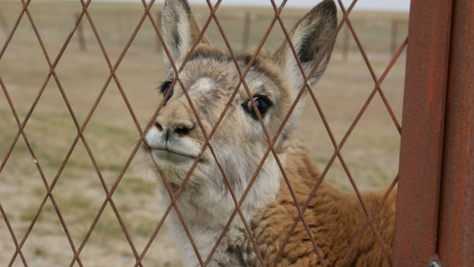 Sony DT 18-70mm F3.5-5.6 sample photo
