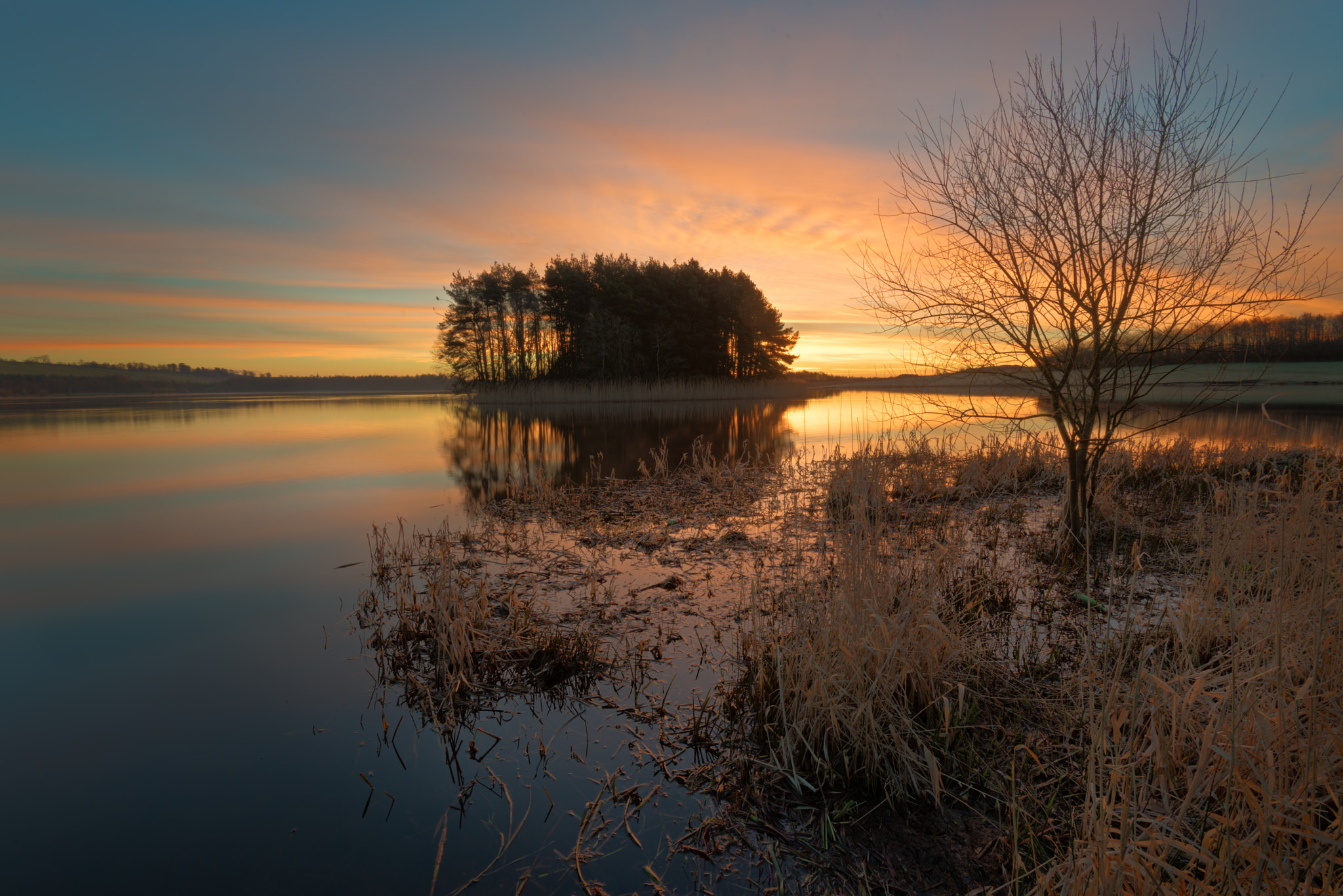 Nikon D750 + Nikon AF-S Nikkor 16-35mm F4G ED VR sample photo. Golden pond photography