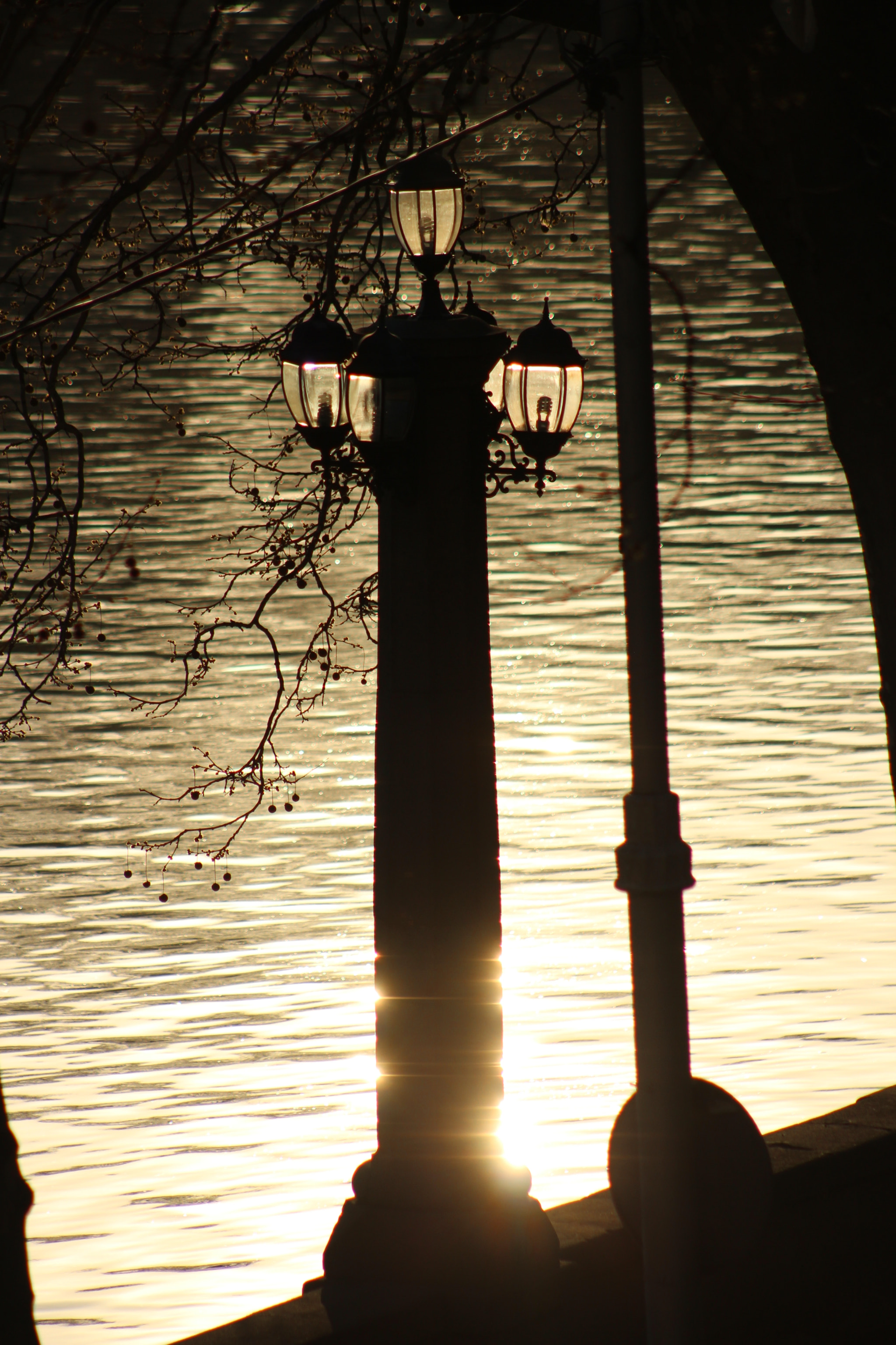 Canon EF 75-300mm f/4-5.6 USM sample photo. Lights of tbilisi photography