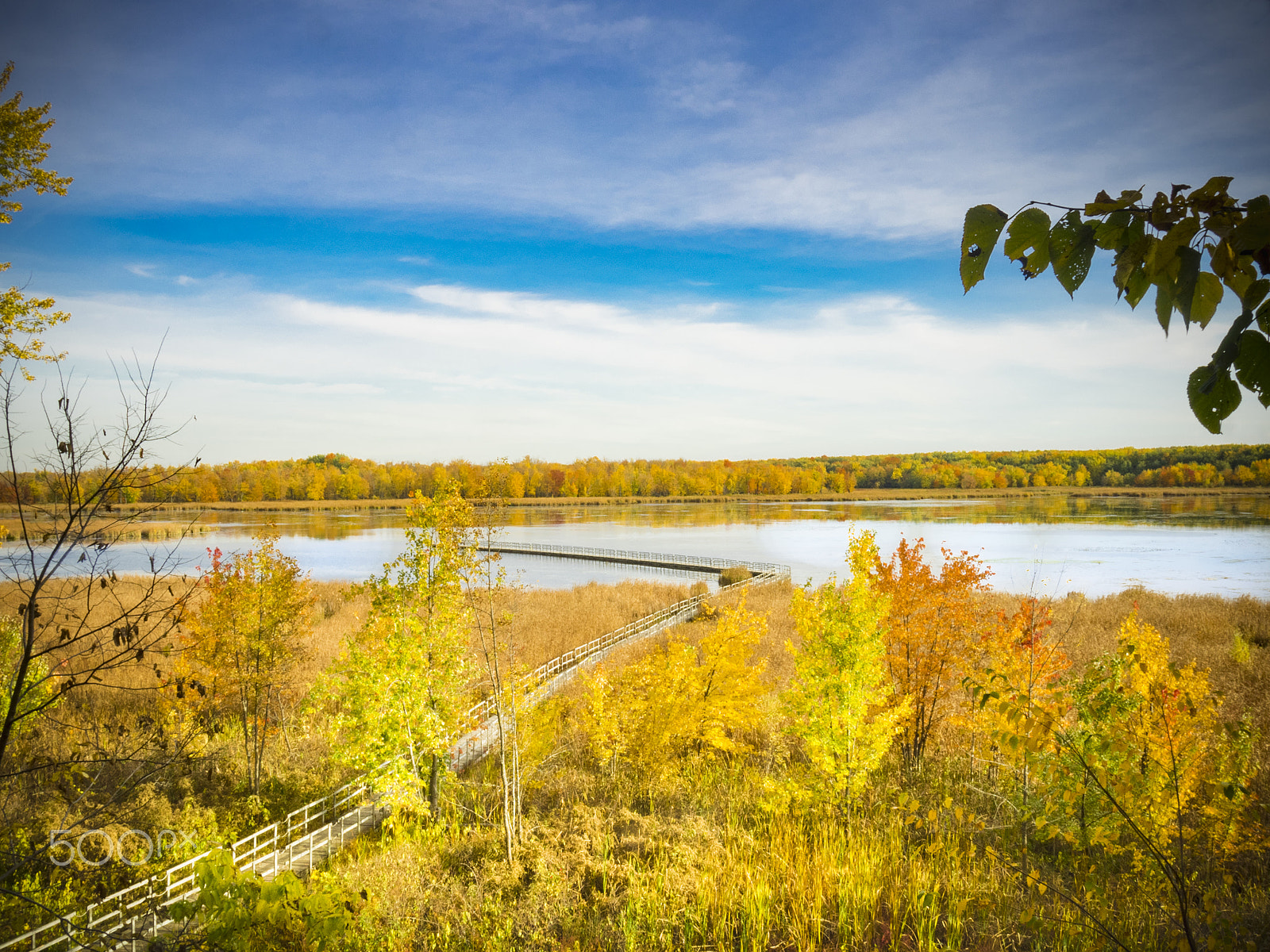 Olympus OM-D E-M1 sample photo. Autumn landscape photography