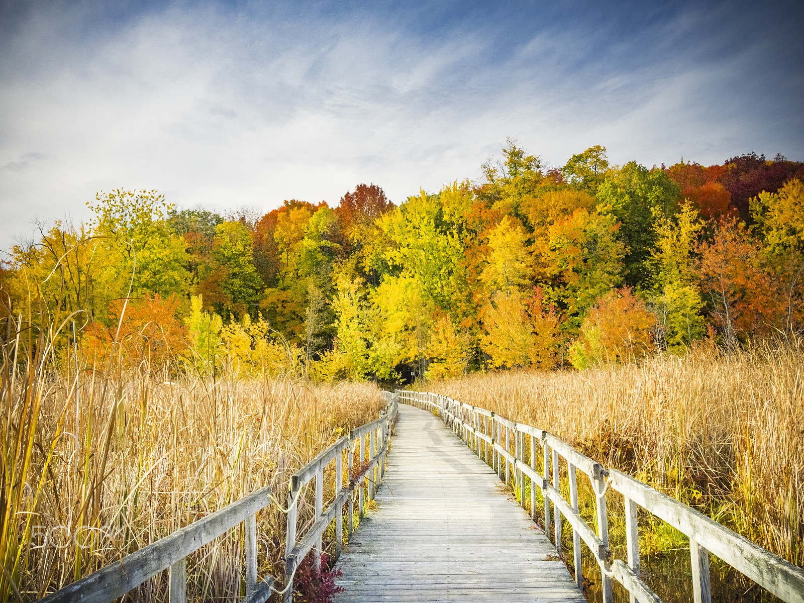 Olympus OM-D E-M1 sample photo. Autumn landscape photography