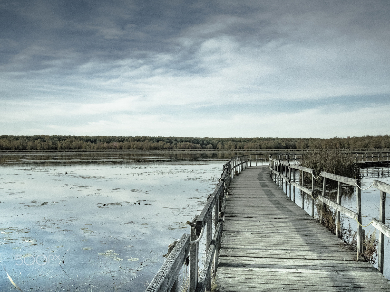 Olympus OM-D E-M1 sample photo. Autumn landscape photography