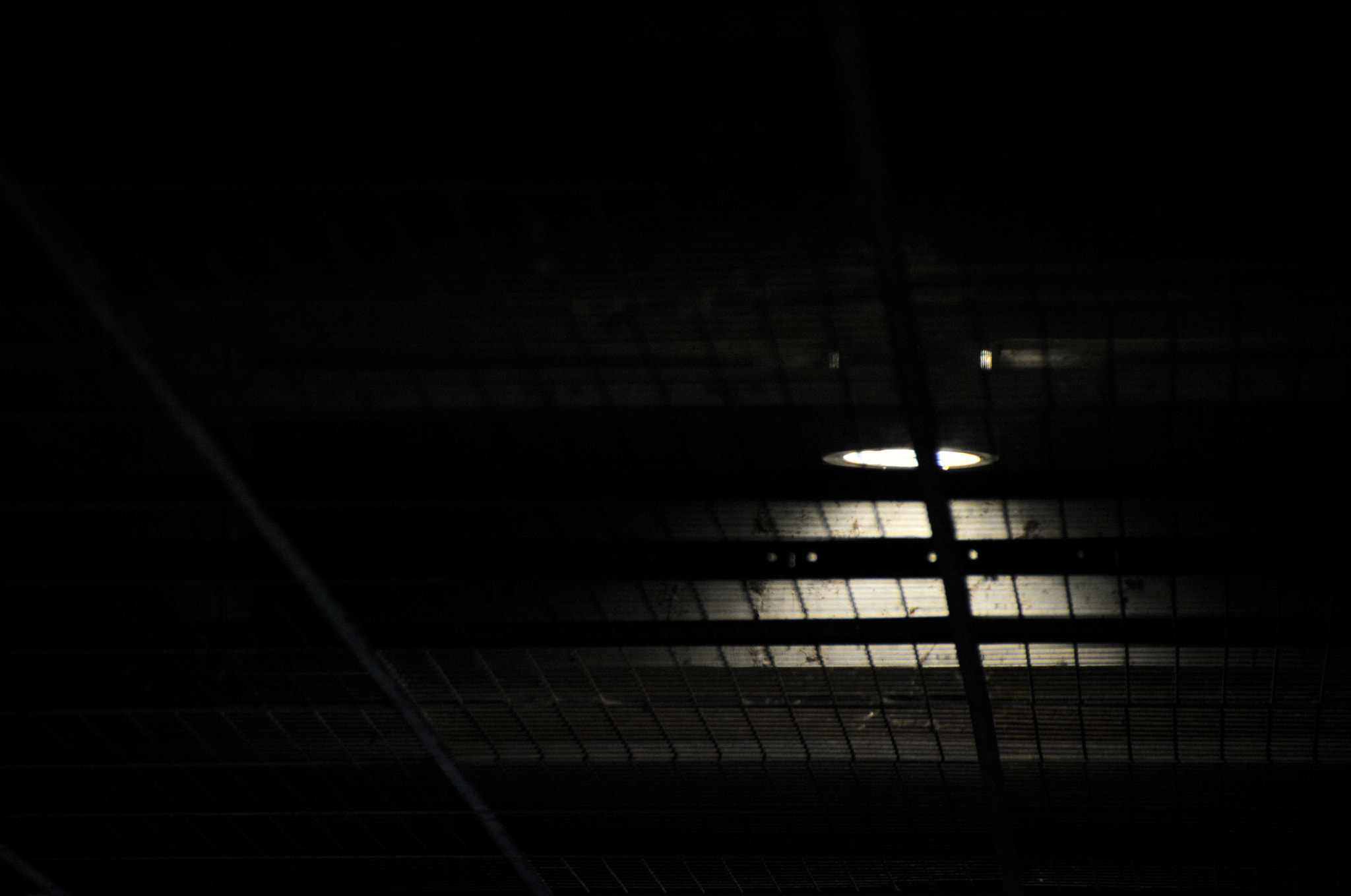 Nikon D3S sample photo. .. photography
