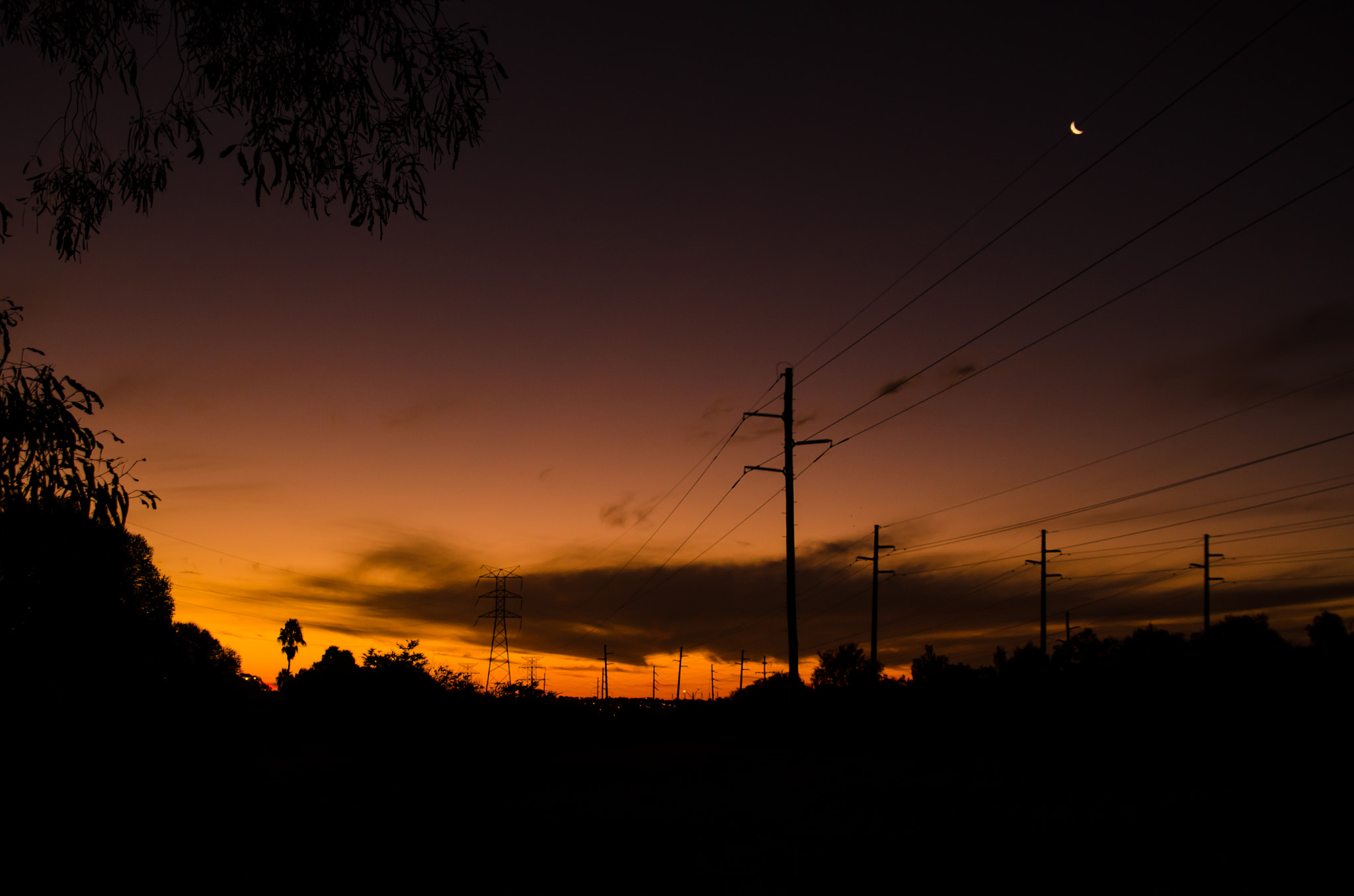 Nikon D7000 sample photo. Autumn sky photography