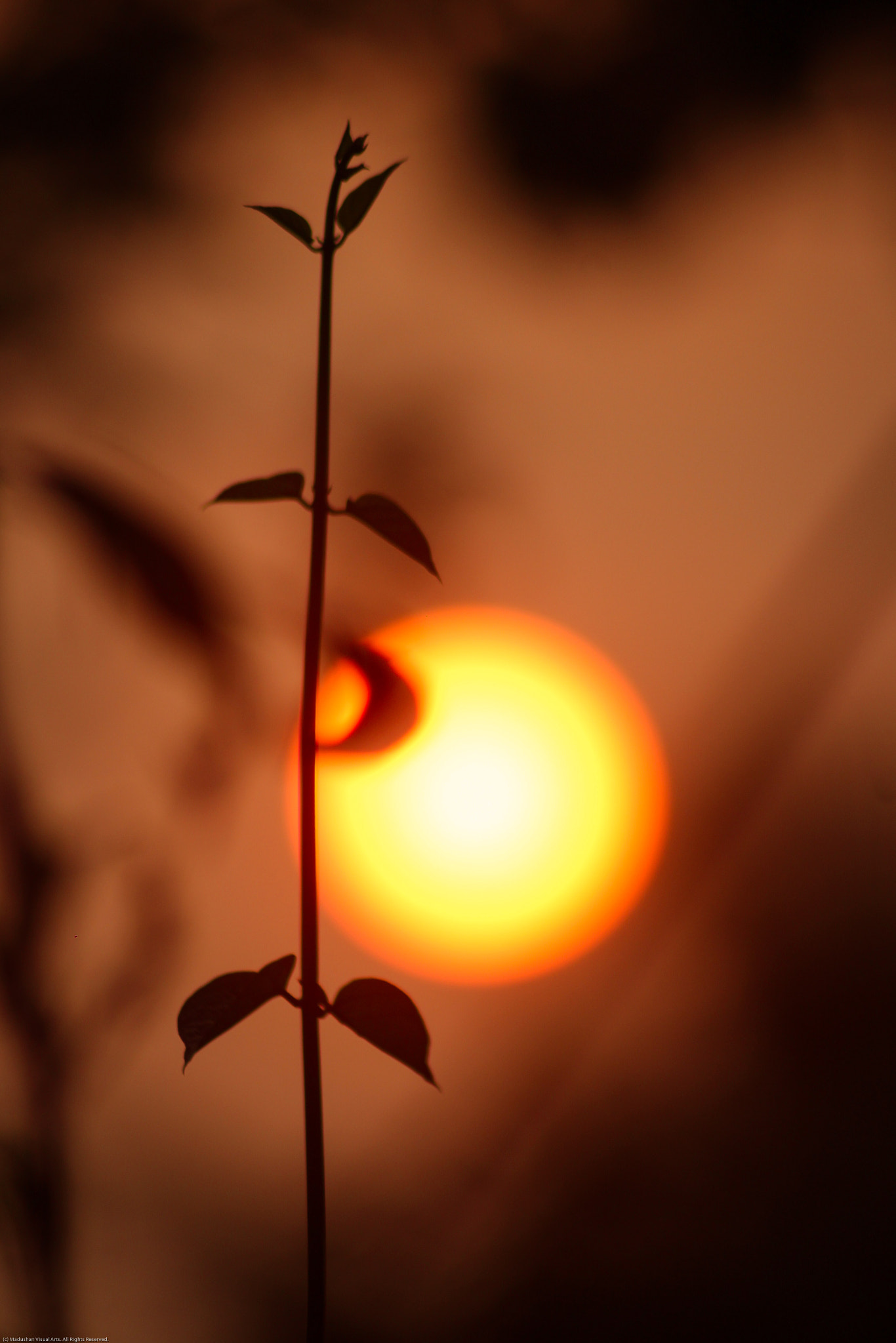 Canon EOS 1200D (EOS Rebel T5 / EOS Kiss X70 / EOS Hi) sample photo. Ready for new day photography