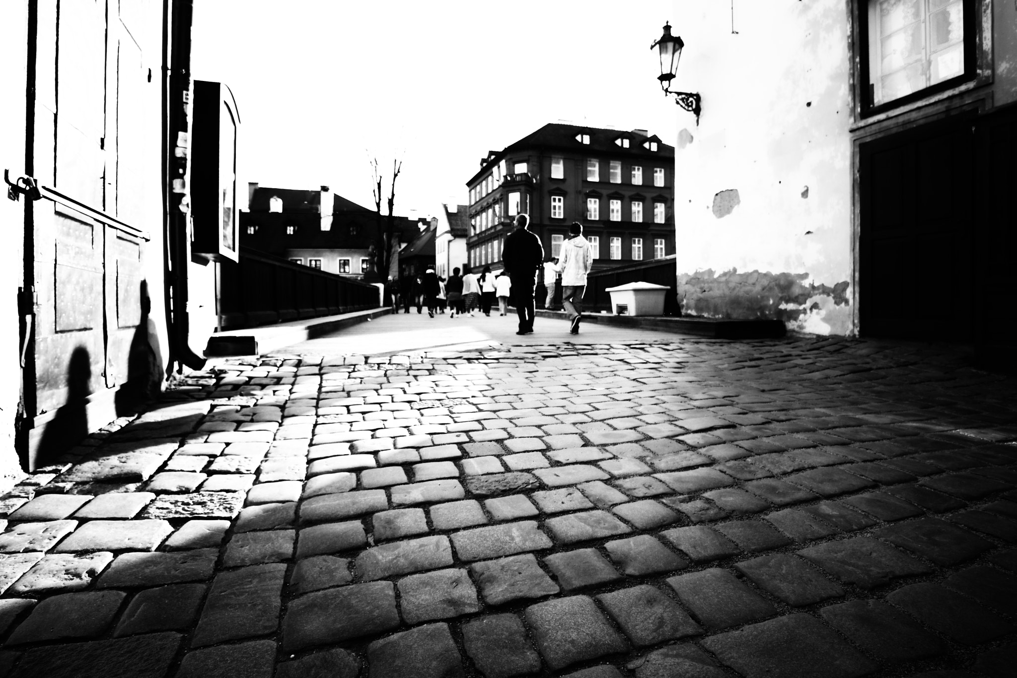 Samyang 14mm F2.8 ED AS IF UMC sample photo. ..with your shadow photography