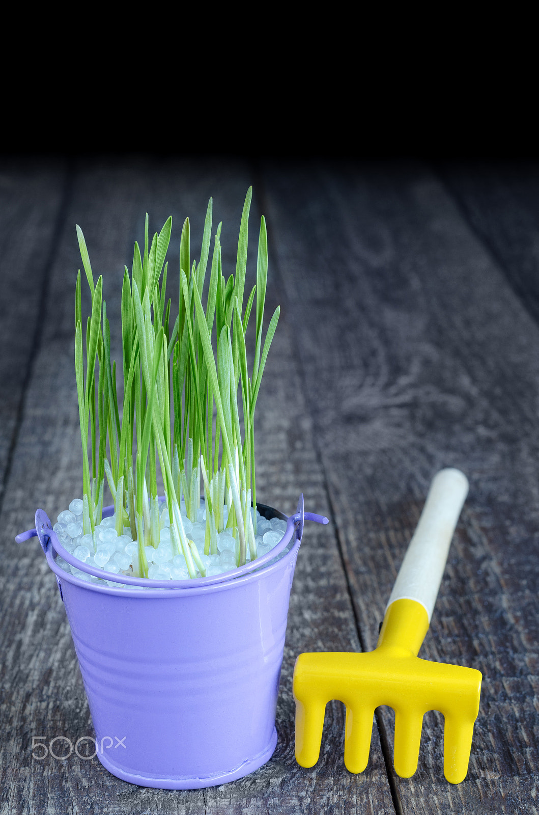 Nikon D7000 sample photo. Green shoots in a bucket and rake to take care of them. selective focus. photography