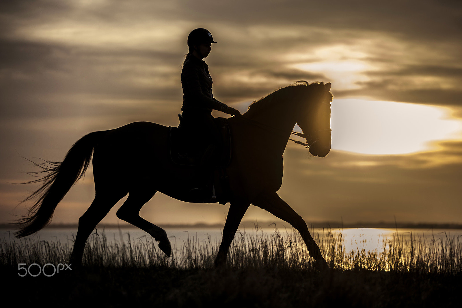 Canon EF 70-200mm F2.8L IS II USM sample photo. Silhouettes photography