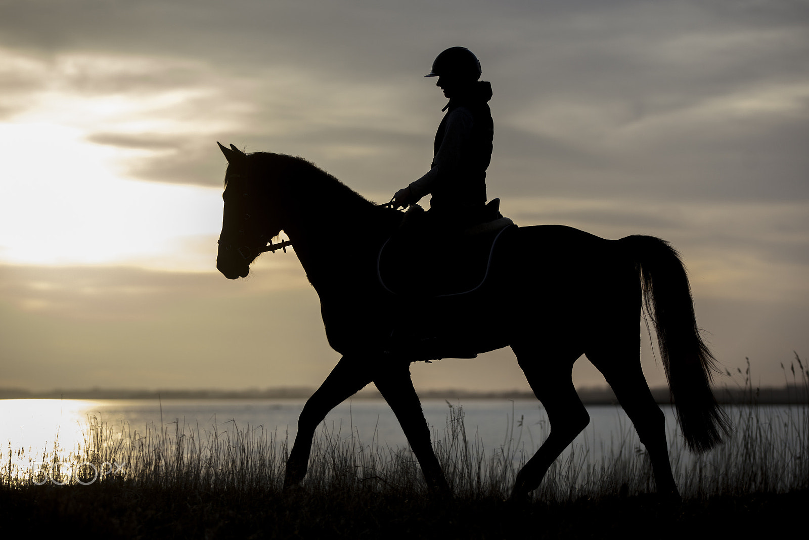 Canon EF 70-200mm F2.8L IS II USM sample photo. Silhouettes photography
