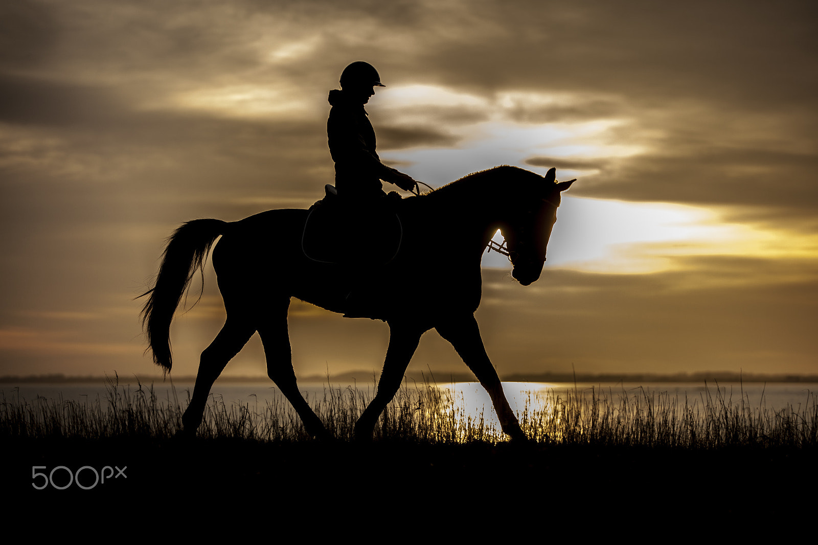 Canon EF 70-200mm F2.8L IS II USM sample photo. Silhouettes photography