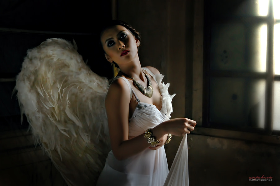 Nikon D40 sample photo. Fallen photography