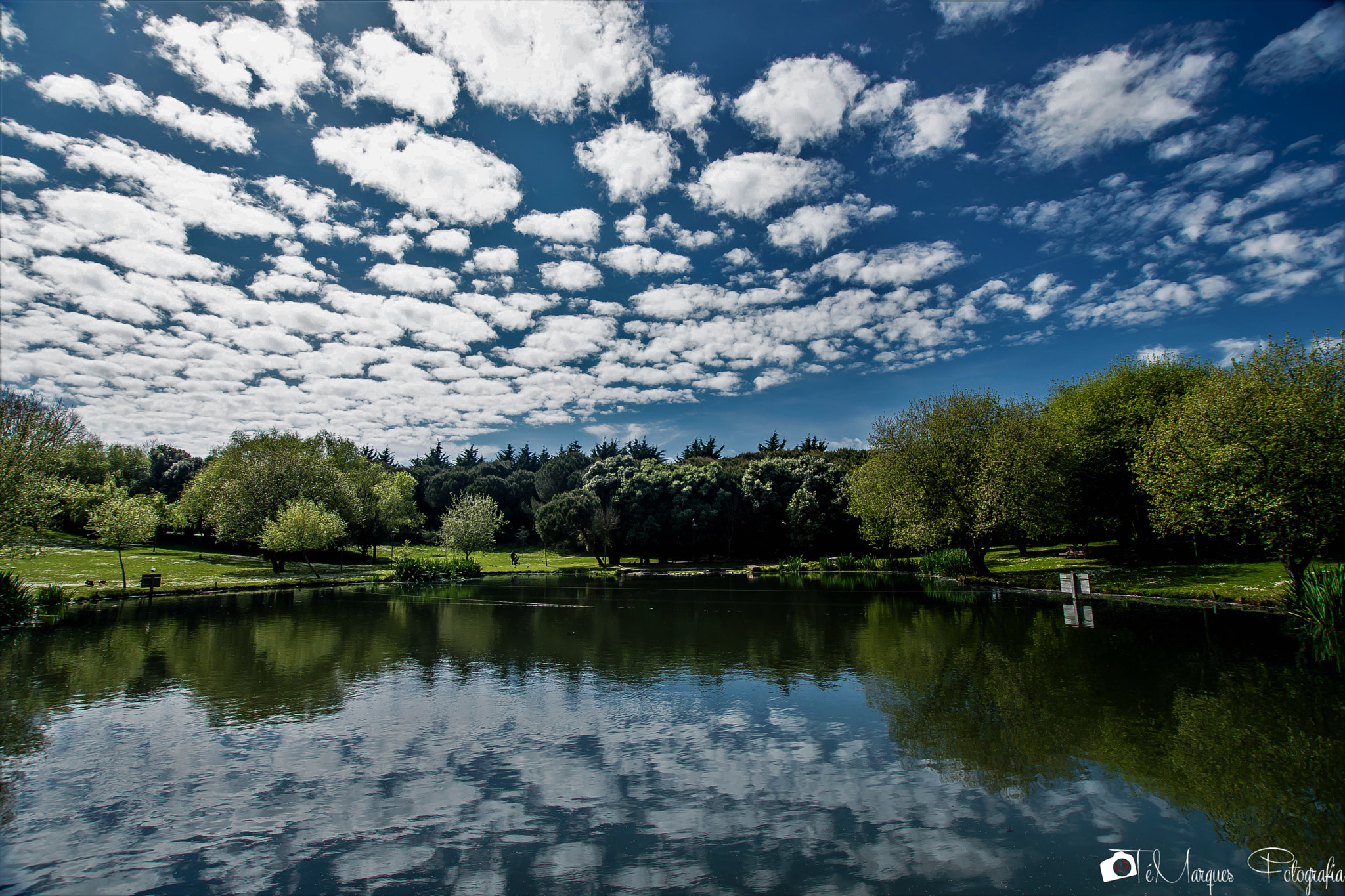 Nikon D7200 + Sigma 10-20mm F3.5 EX DC HSM sample photo. Cumulus photography