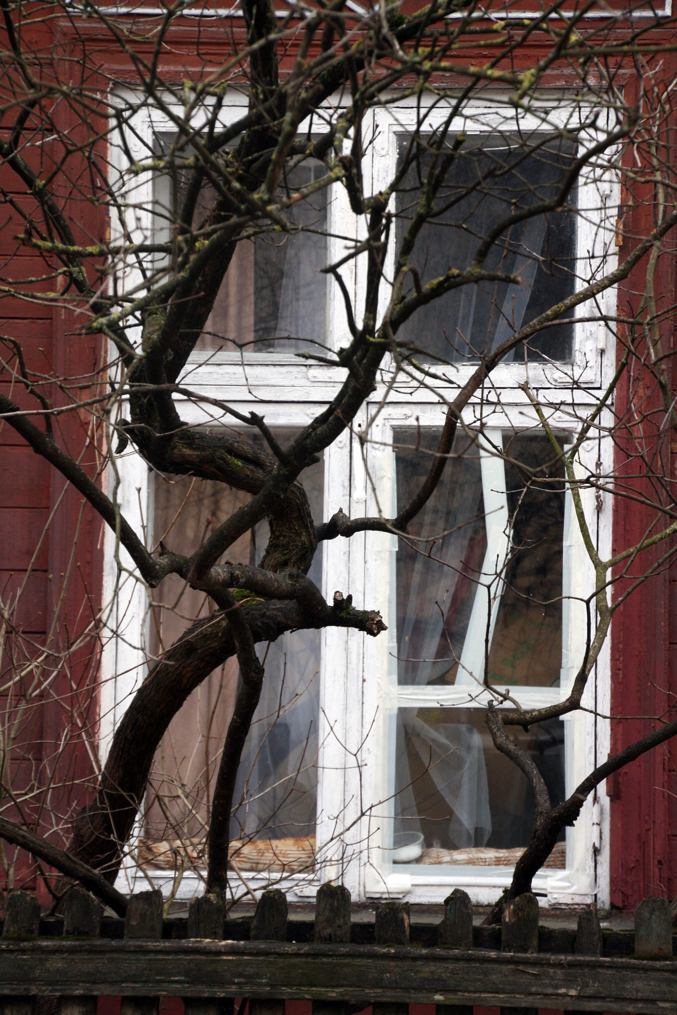 Canon EOS 1000D (EOS Digital Rebel XS / EOS Kiss F) sample photo. What do you see? photography