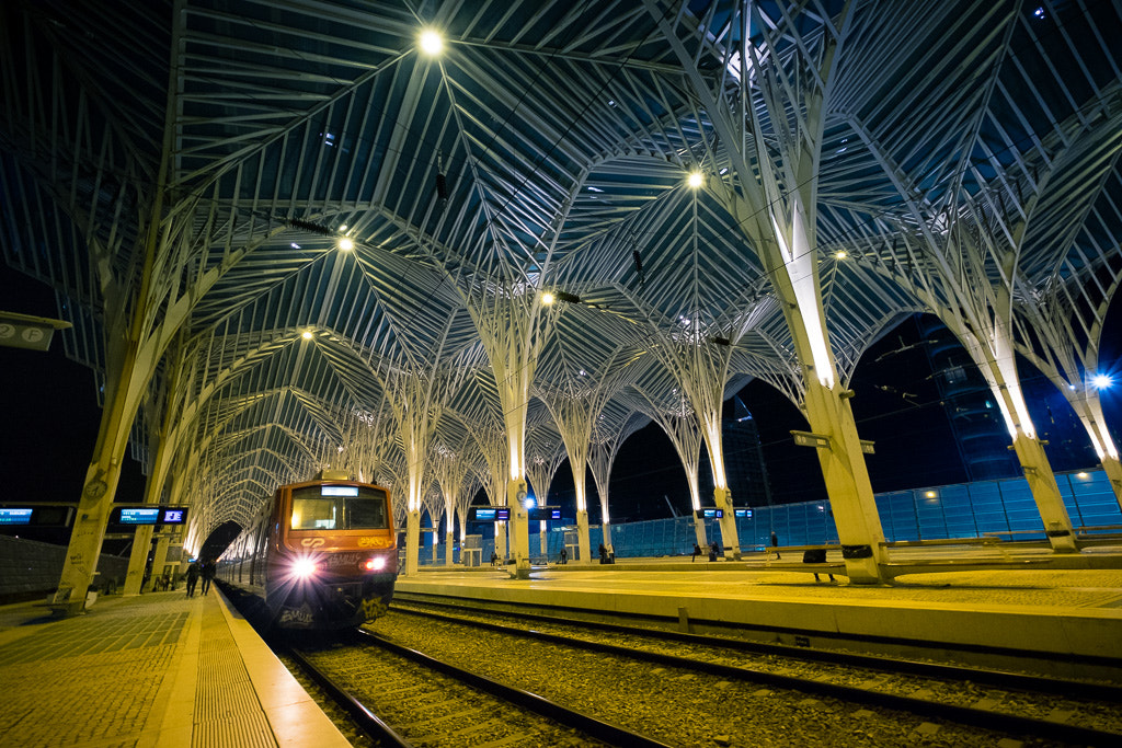 Fujifilm XF 10-24mm F4 R OIS sample photo. The wrong train. photography