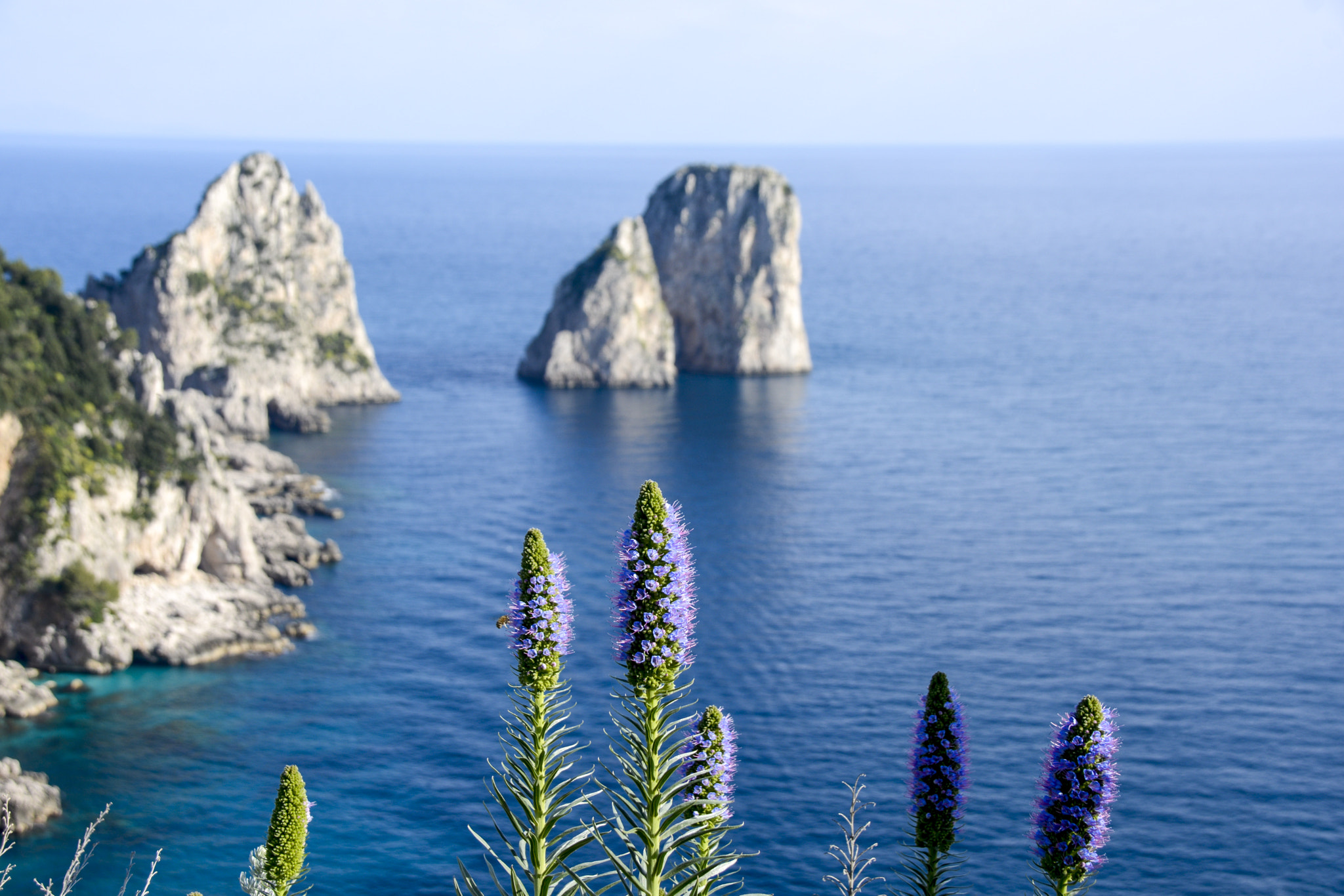 Sigma 18-250mm F3.5-6.3 DC Macro OS HSM sample photo. Italy - capri photography