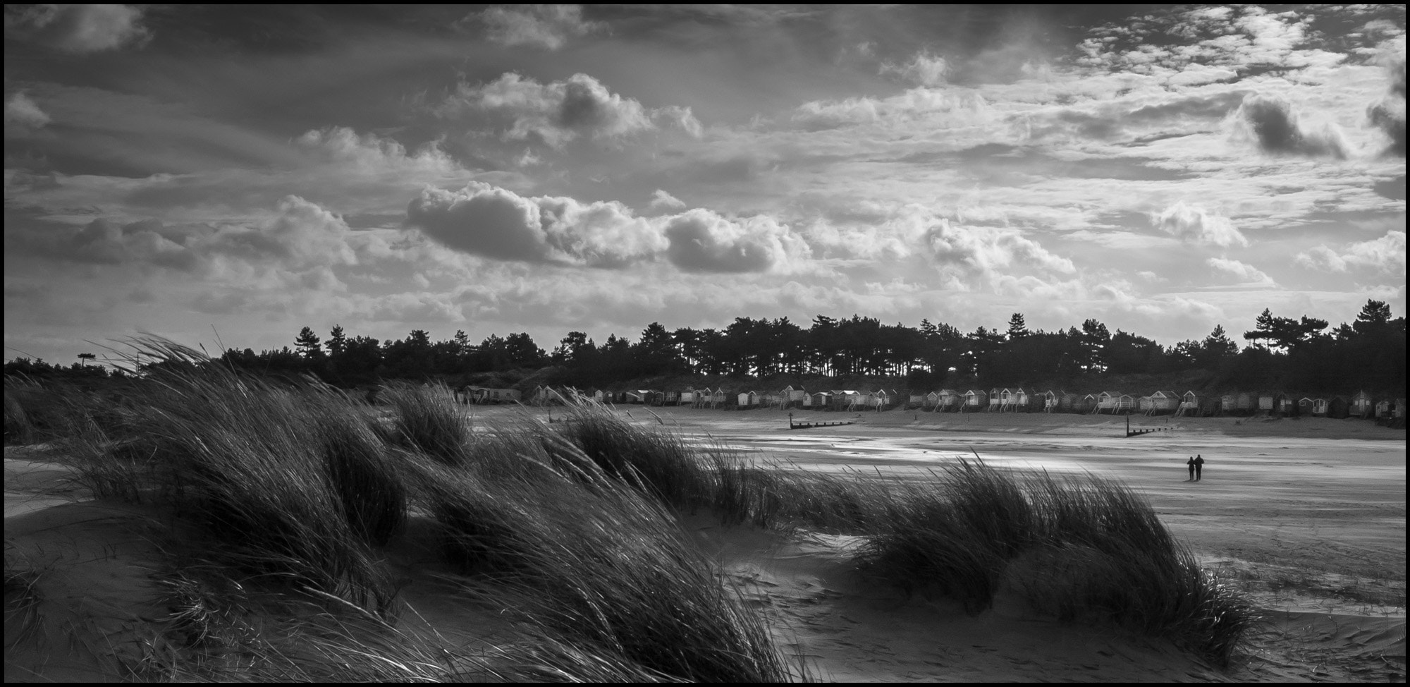 Nikon D70 sample photo. Low tide & high grass. photography