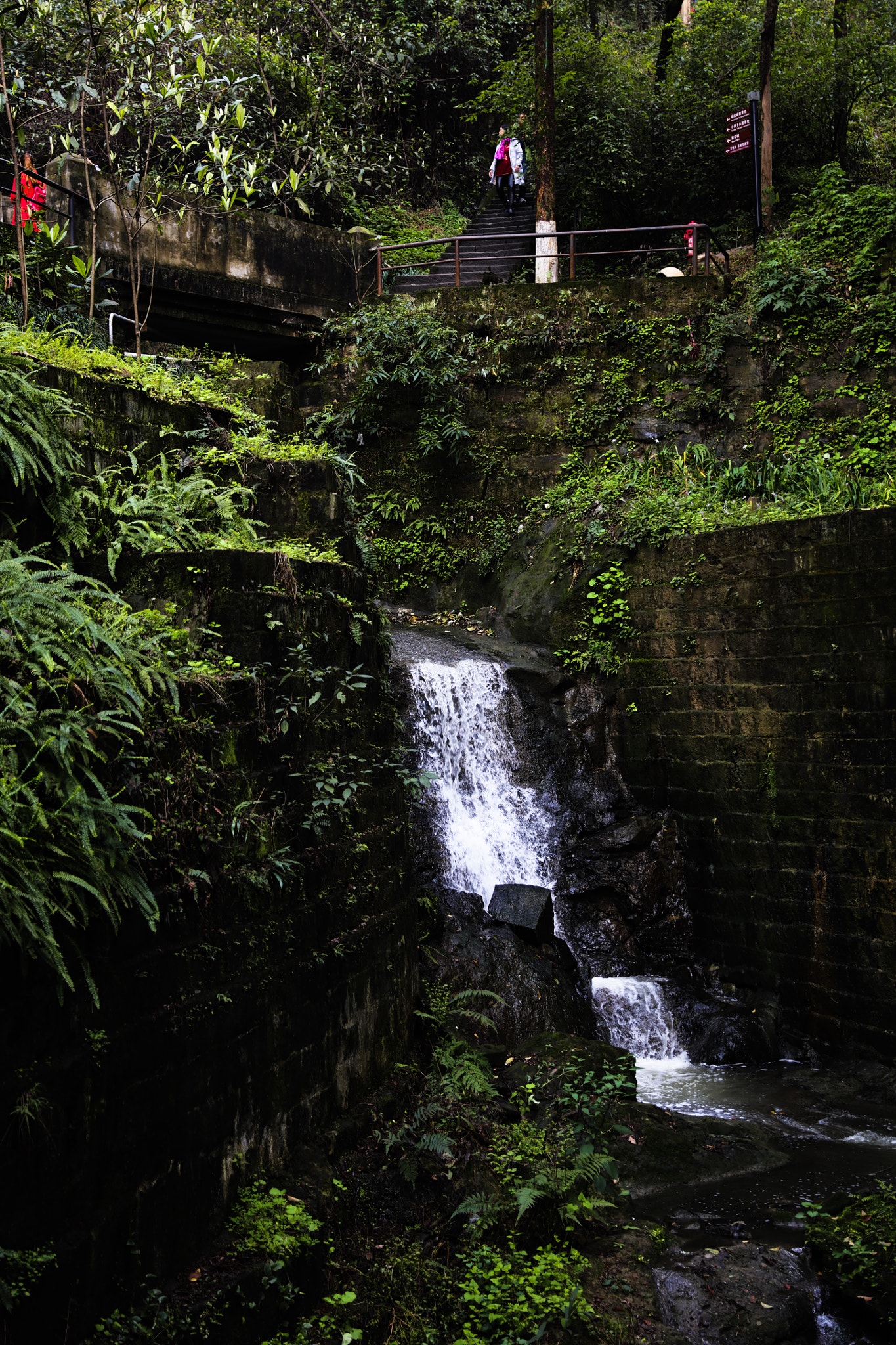 Canon EF 24-70mm F2.8L II USM sample photo