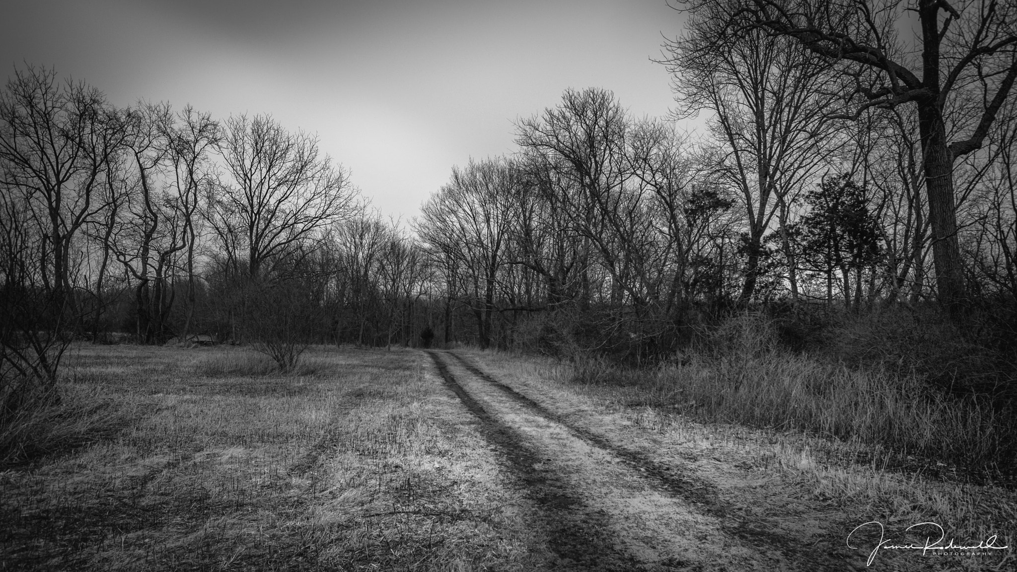 Nikon D3200 sample photo. Montgomery pathways photography