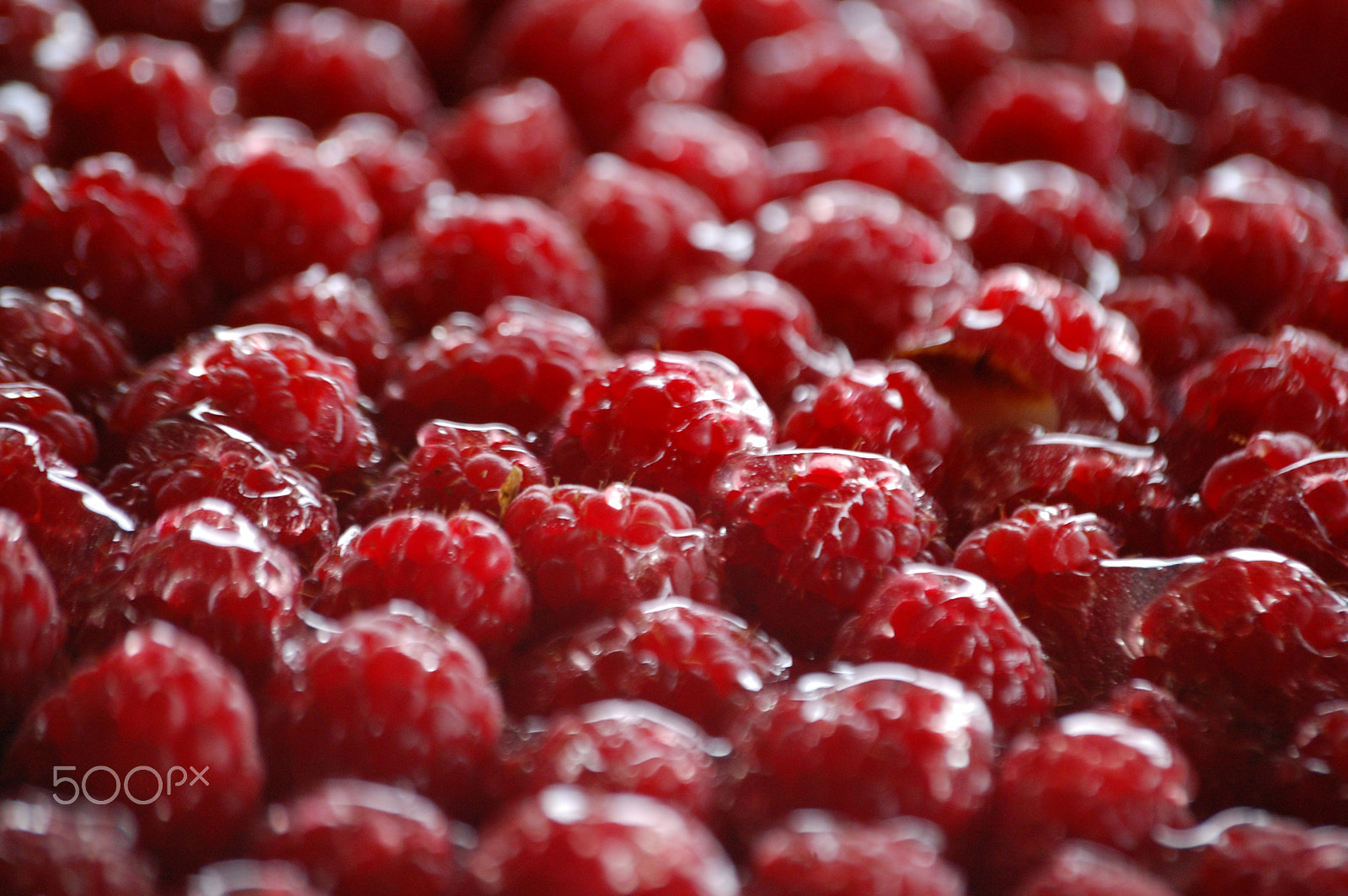 Nikon D40 sample photo. Raspberries 's tart photography