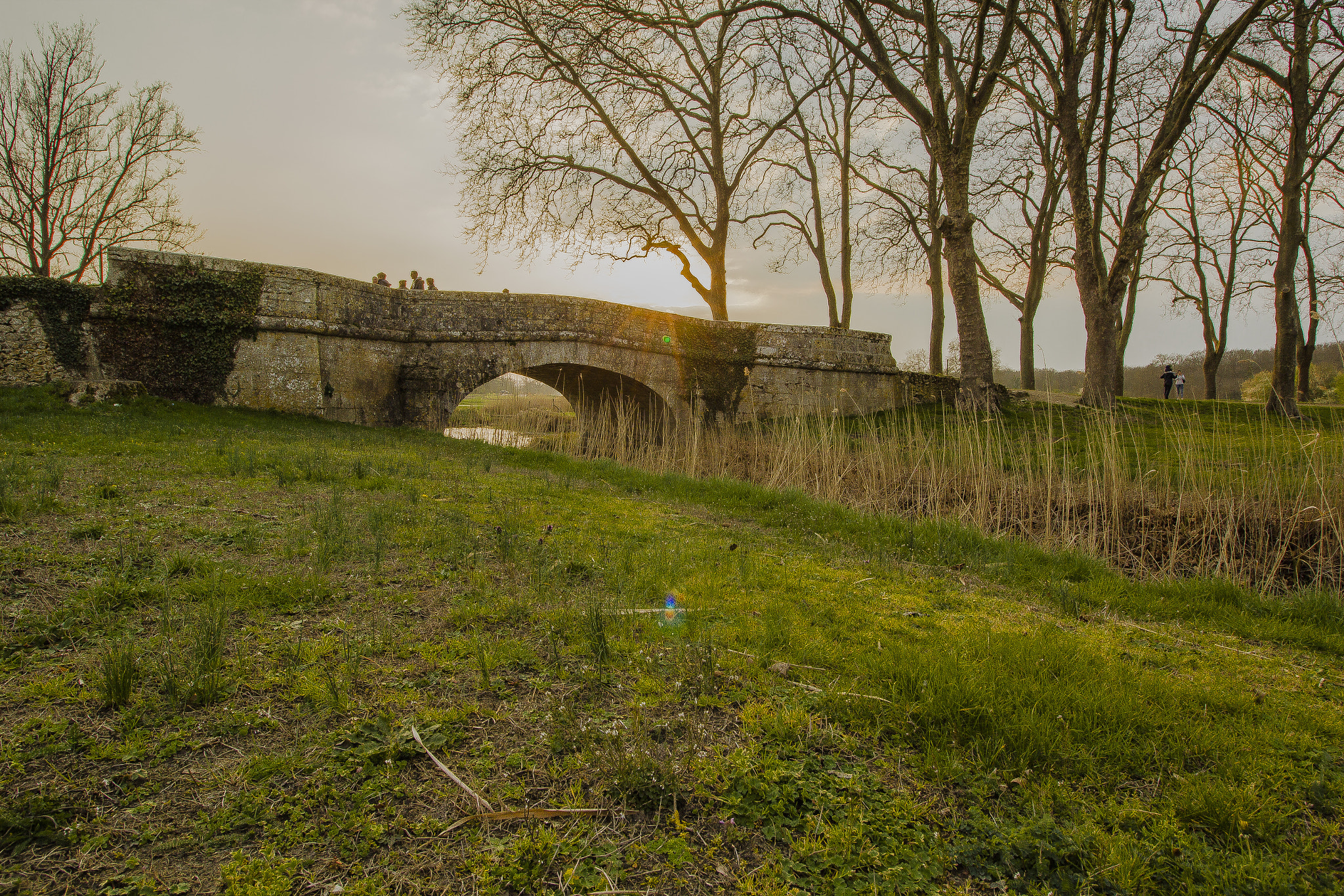 Canon EOS 550D (EOS Rebel T2i / EOS Kiss X4) sample photo. Coucher sur le pont photography