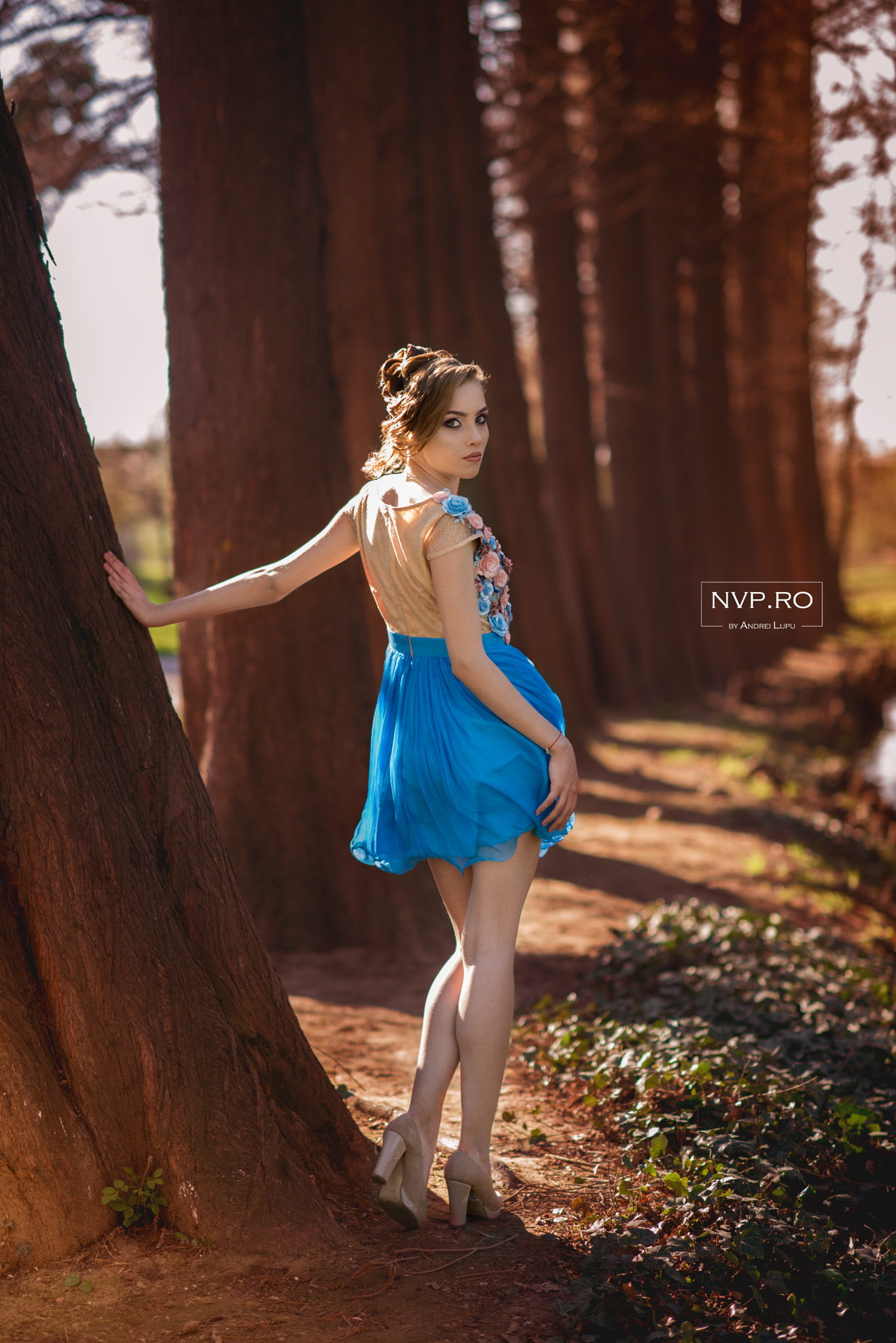 Nikon D750 + Nikon AF-S Nikkor 85mm F1.4G sample photo. Yyy photography