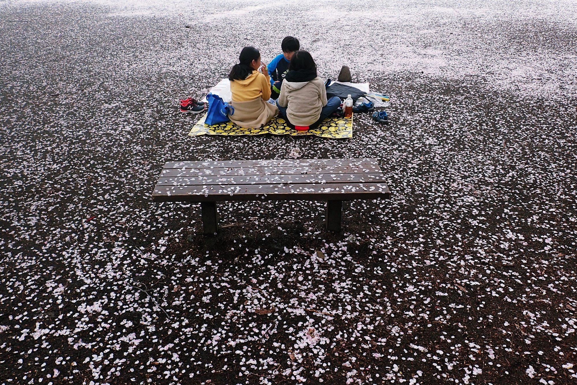 Olympus TG-3 sample photo. Park after rain photography