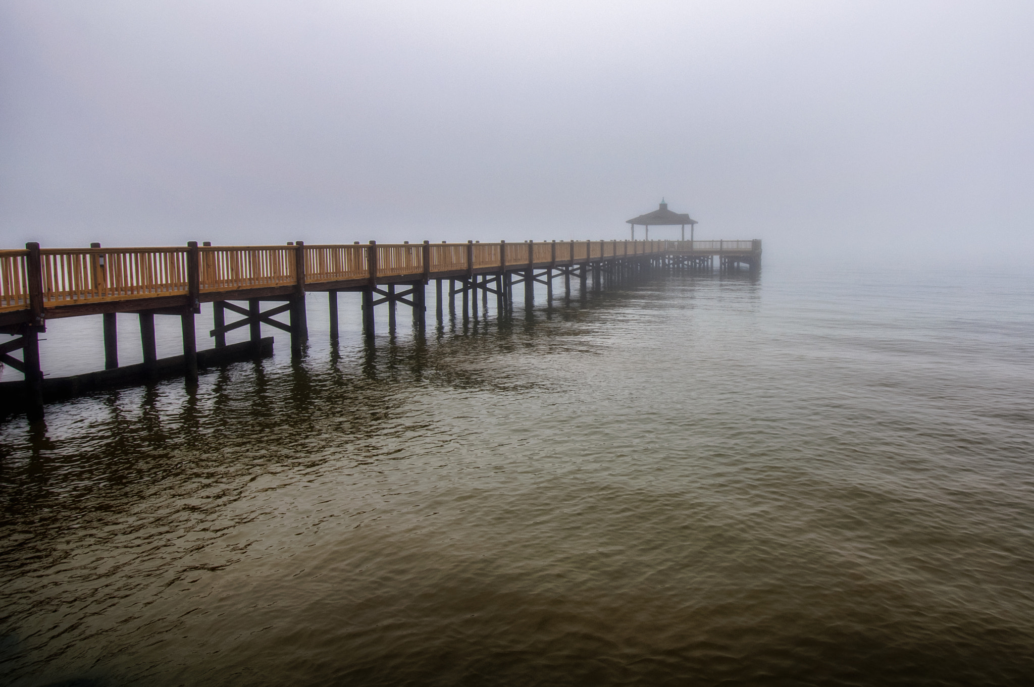 Nikon D90 sample photo. Foggy bright photography