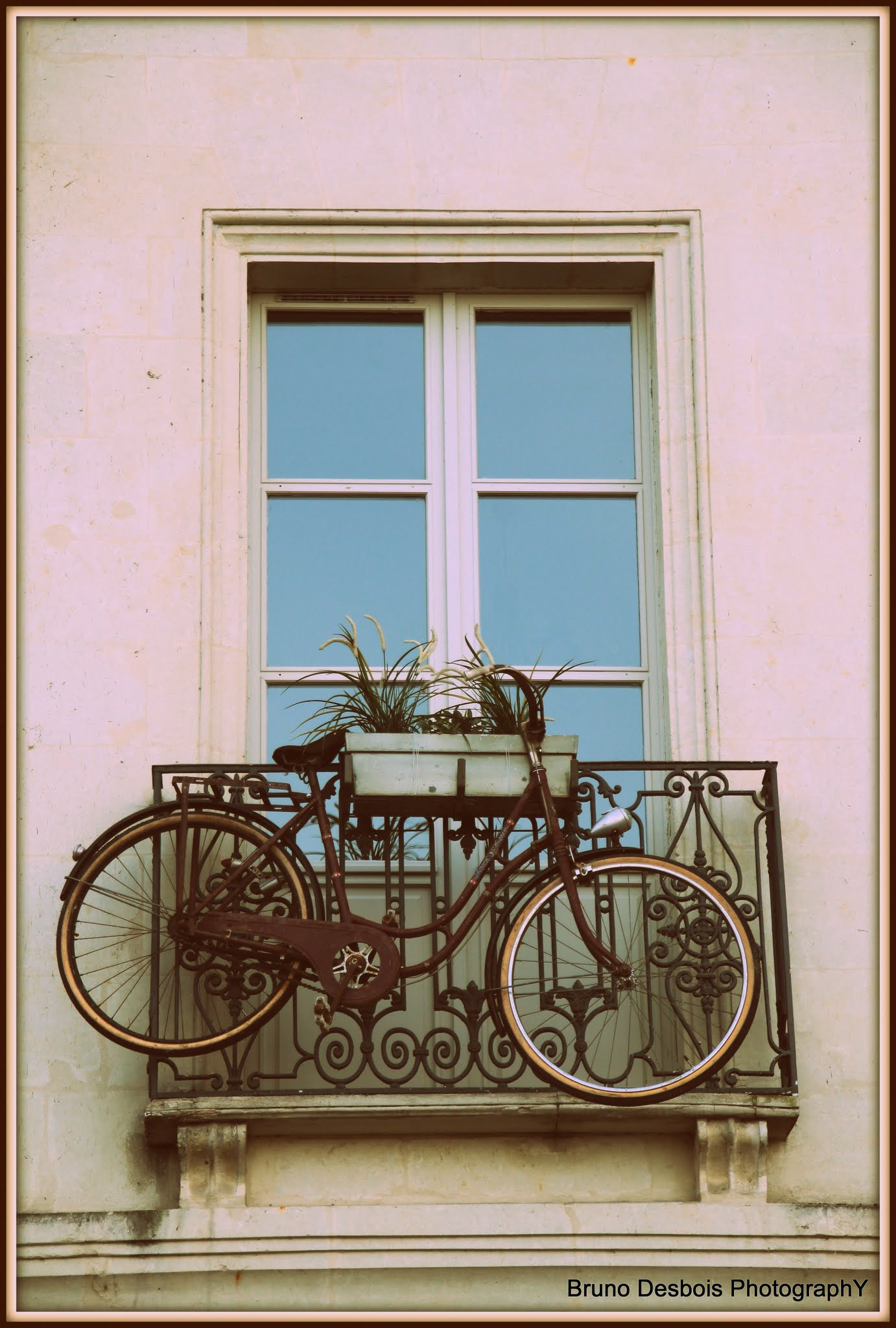 Sigma 18-200mm f/3.5-6.3 DC OS sample photo. The bike suspended photography