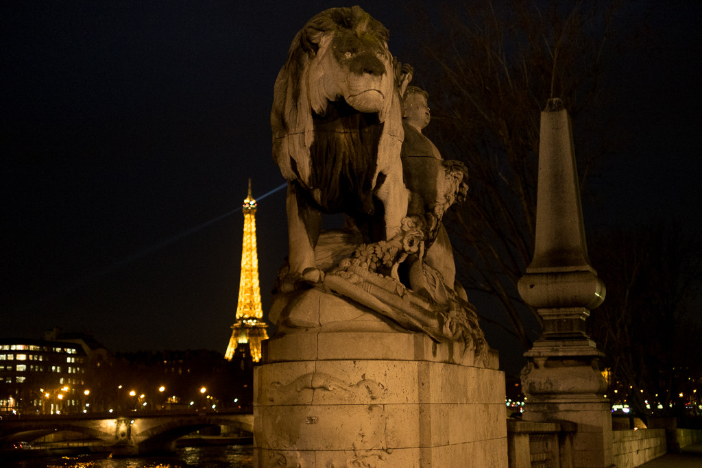 Fujifilm X-T1 + Fujifilm XF 35mm F1.4 R sample photo. King of capital photography
