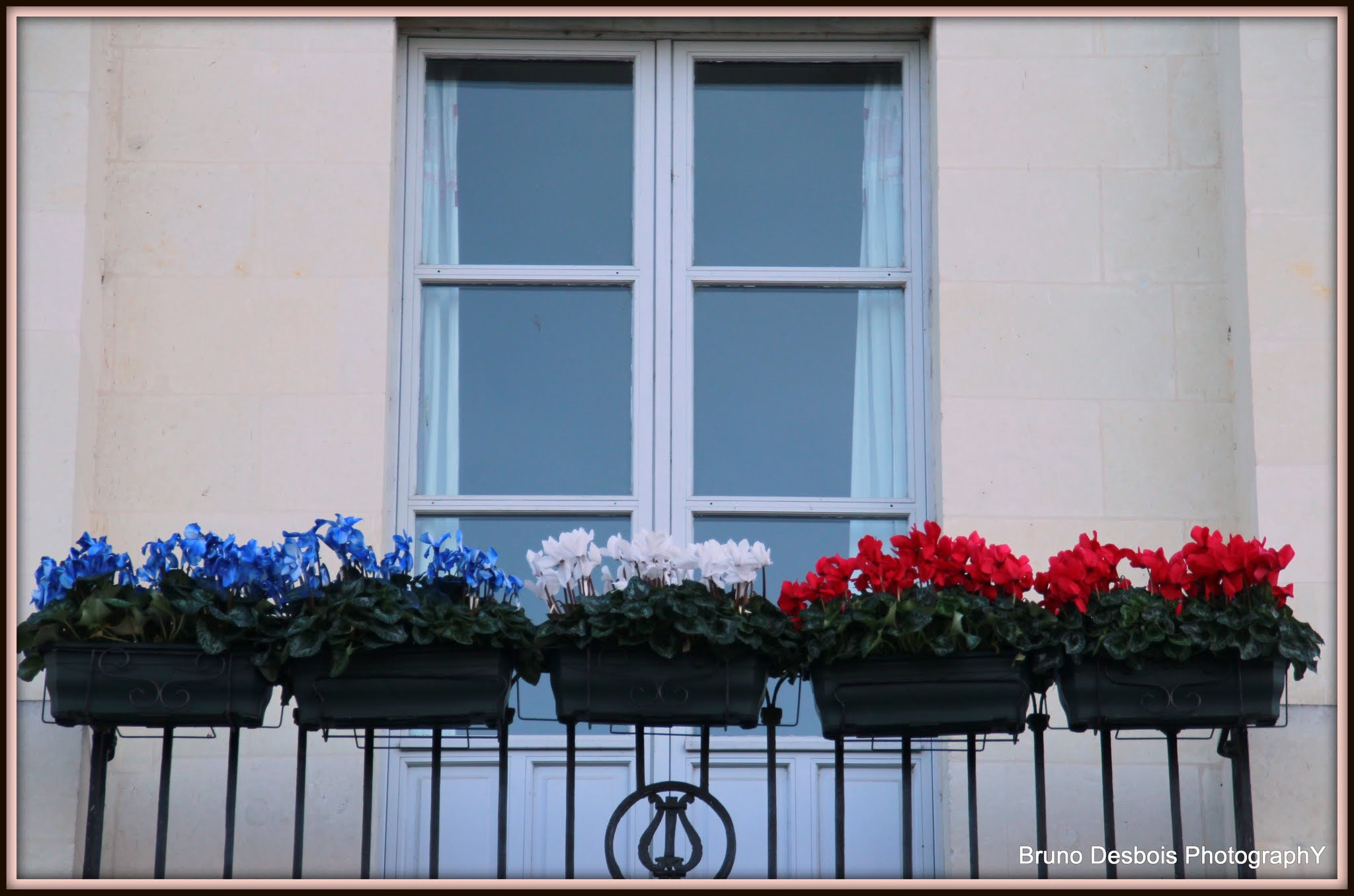 Canon EOS 600D (Rebel EOS T3i / EOS Kiss X5) + Sigma 18-200mm f/3.5-6.3 DC OS sample photo. French flag photography