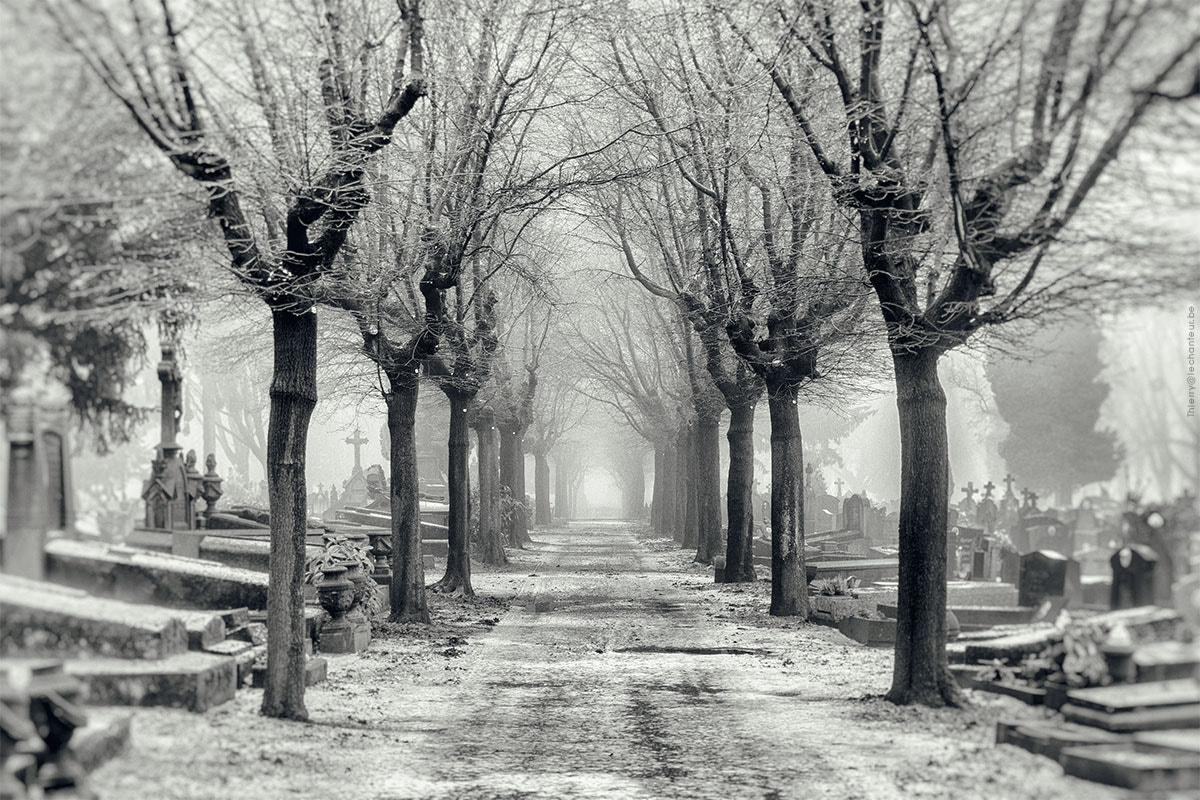 Canon EOS 5DS R sample photo. Road to nowhere robermont cemetery liège belgium photography