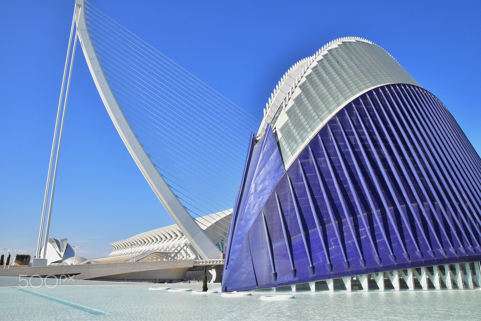 Sigma 17-50mm F2.8 EX DC OS HSM sample photo. Valencia photography