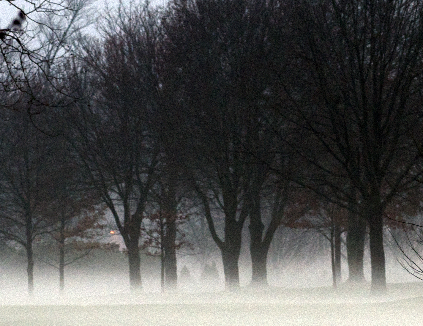 Sony a7R II sample photo. Early evening fog on golf course photography