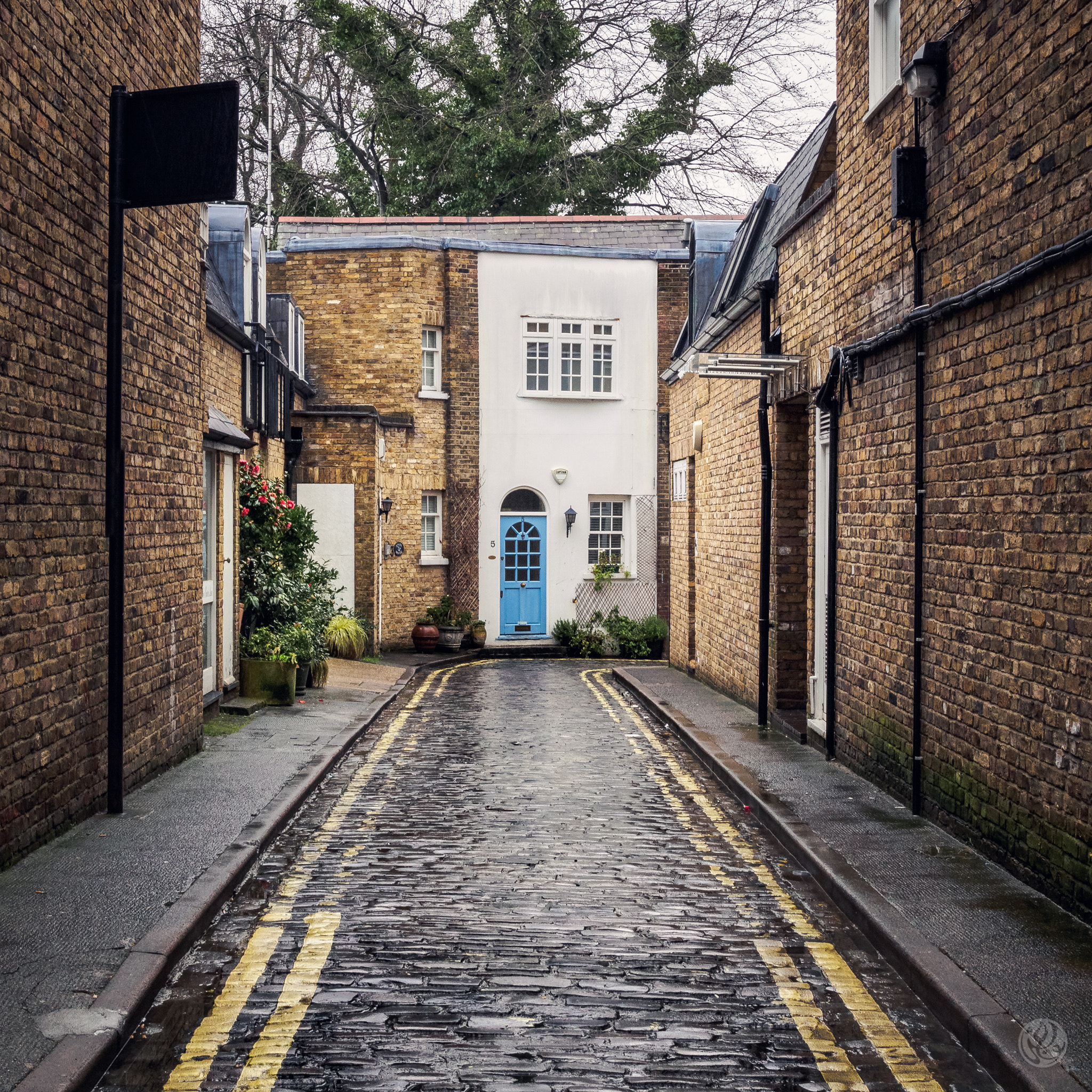 Olympus OM-D E-M10 II + Olympus M.Zuiko Digital 25mm F1.8 sample photo. Just a lovely alley after the rain photography