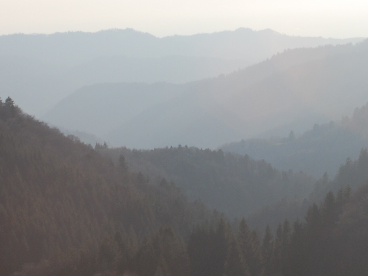 AF Zoom-Nikkor 35-70mm f/2.8D sample photo