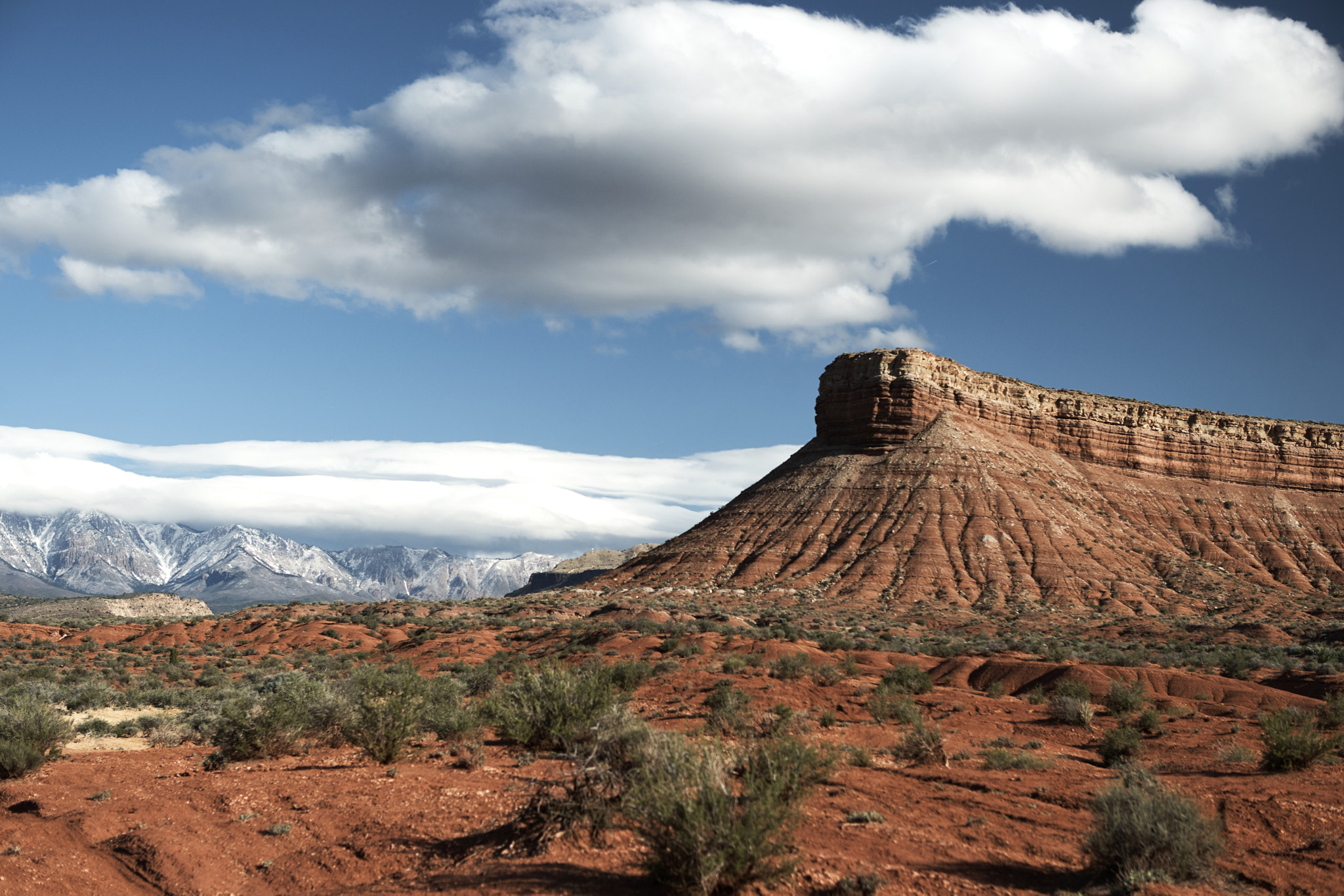DT 24-70mm F2.8 SAM sample photo. Red, barren, and blue photography
