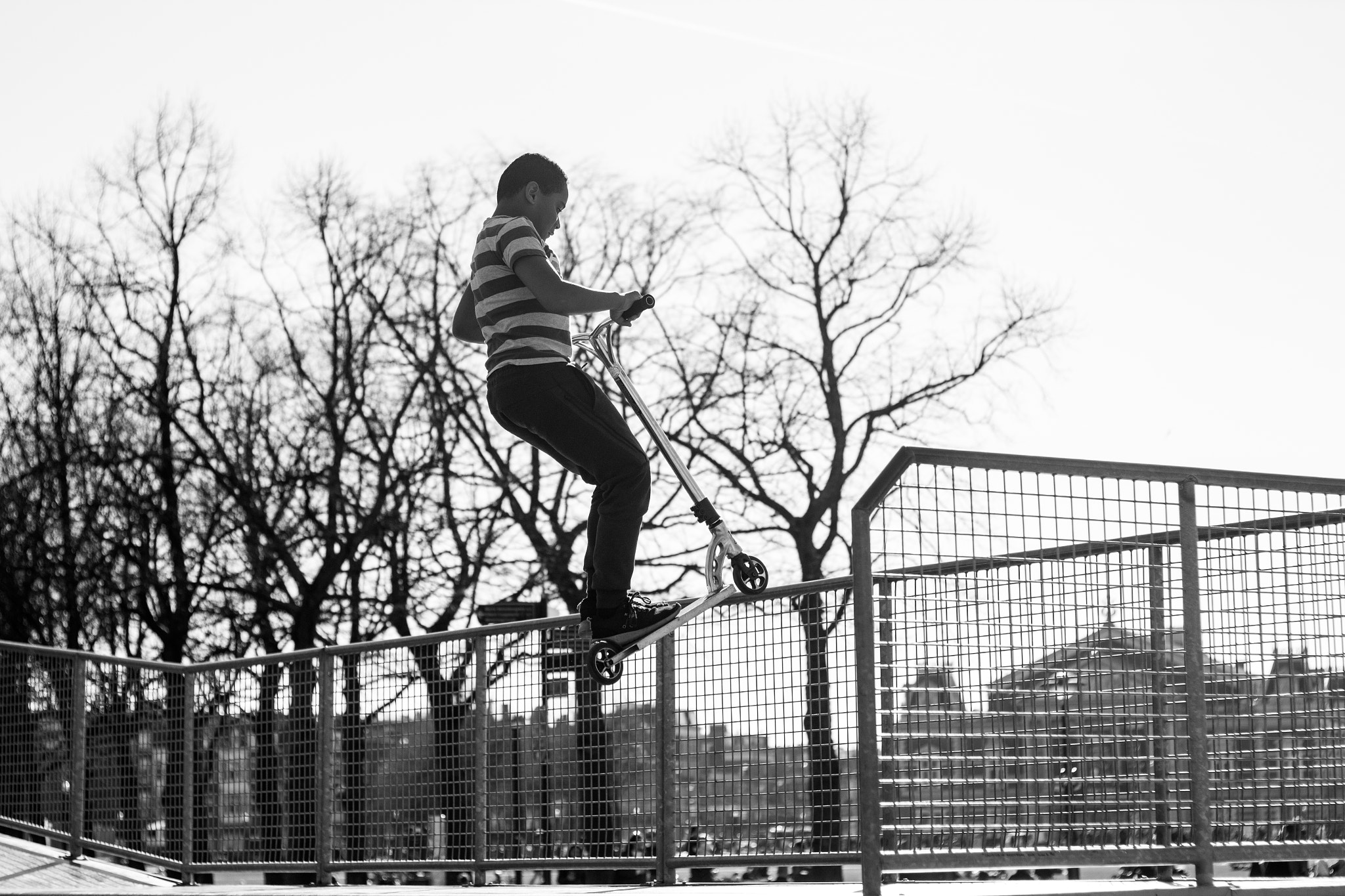 Canon EOS 650D (EOS Rebel T4i / EOS Kiss X6i) + Canon EF 50mm F1.8 II sample photo. Flying #1 photography