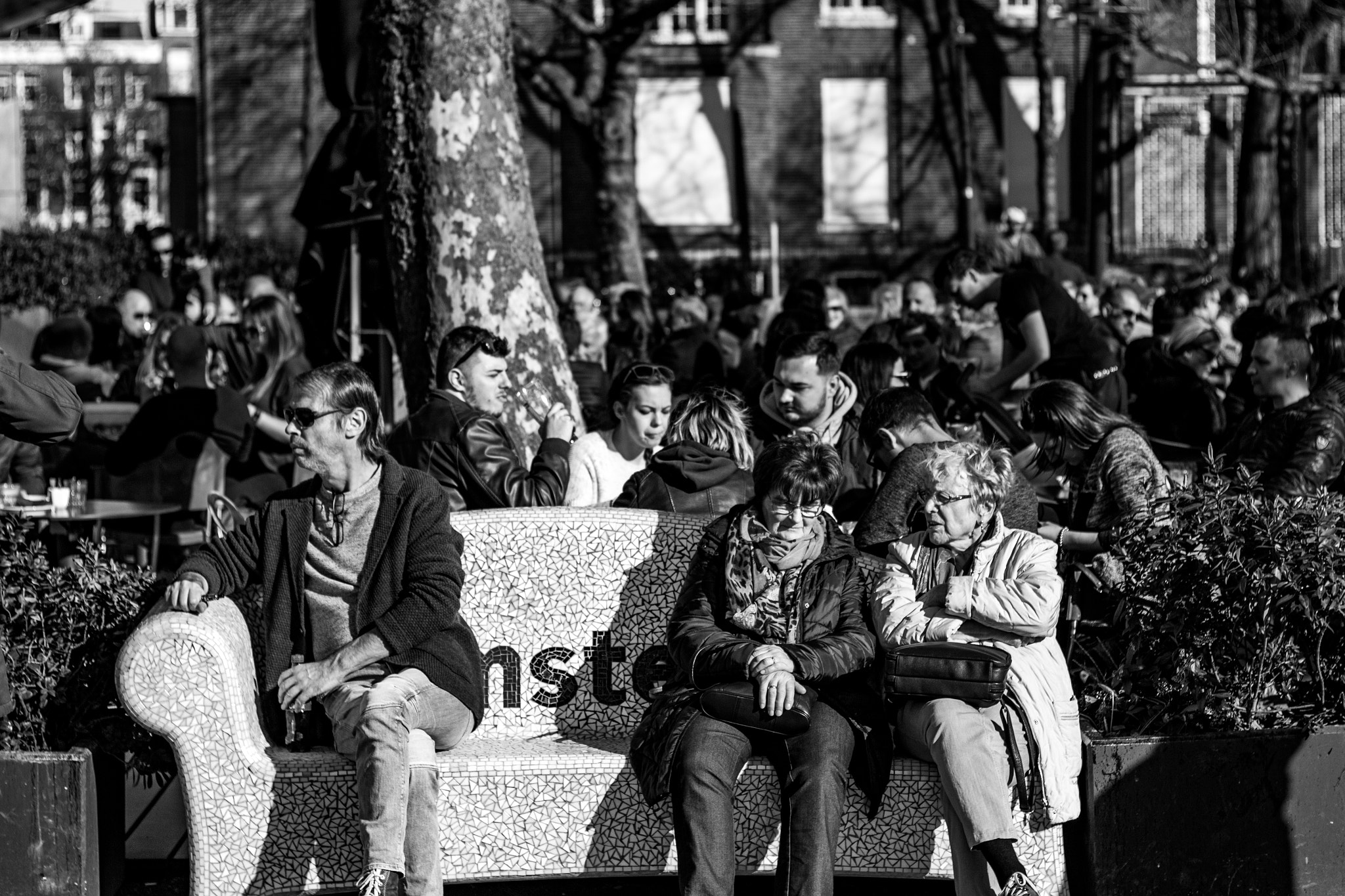 Canon EOS 650D (EOS Rebel T4i / EOS Kiss X6i) + Canon EF 50mm F1.8 II sample photo. Sun admirers photography