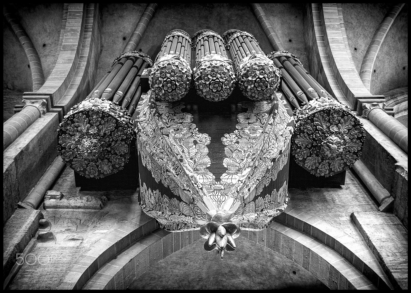 Canon EOS 500D (EOS Rebel T1i / EOS Kiss X3) sample photo. The swallows nest organ photography