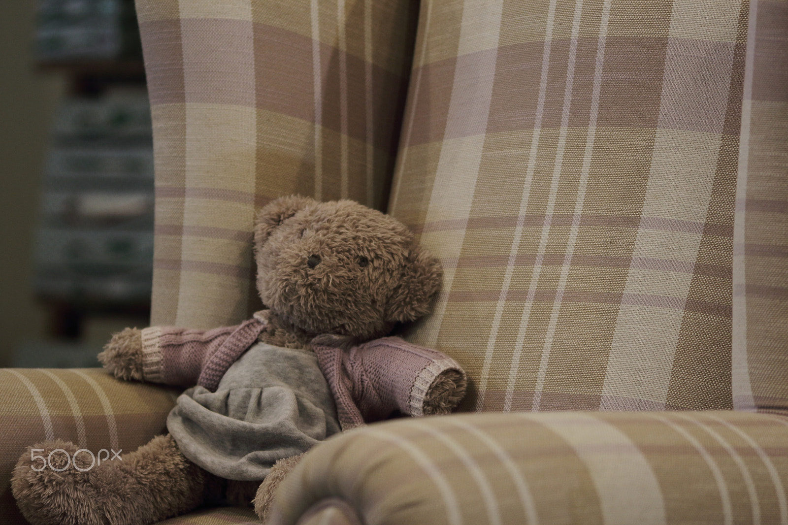 Canon EOS 1300D (EOS Rebel T6 / EOS Kiss X80) sample photo. Waiting for cuddle photography