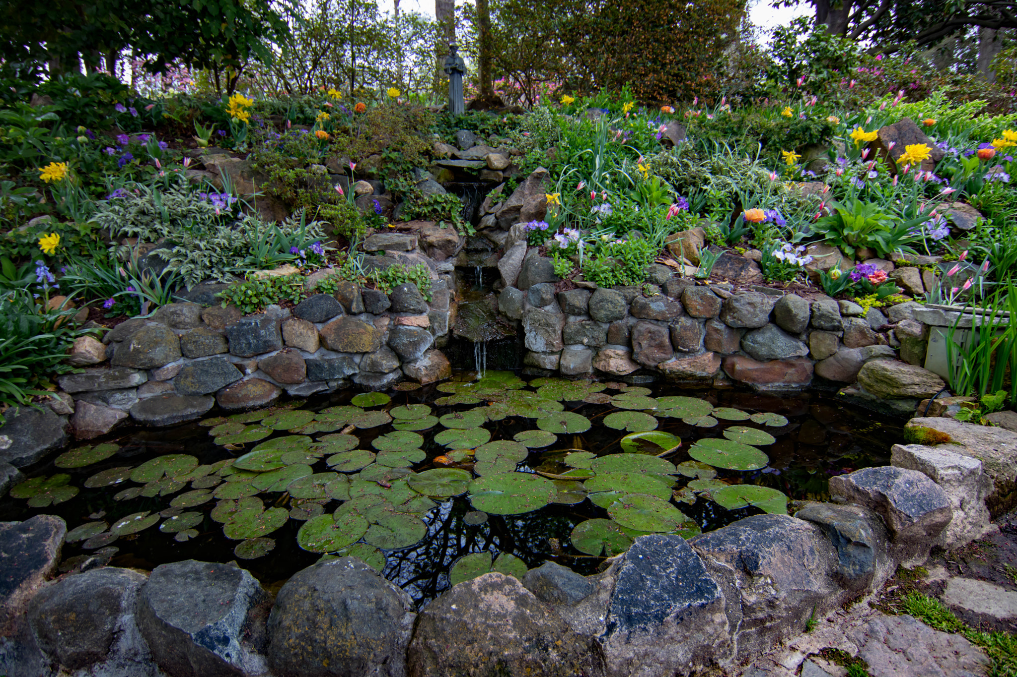 Tokina AT-X 12-28mm F4 Pro DX sample photo. Fish pond photography