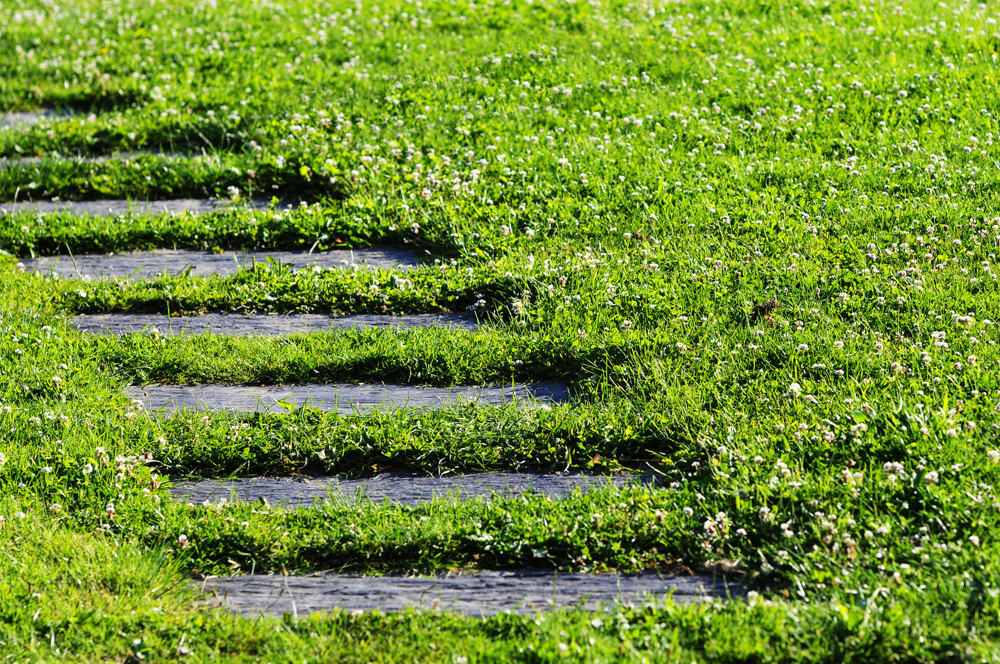 Sigma 70-200mm F2.8 EX DG OS HSM sample photo. Allee jardin atana studio photography