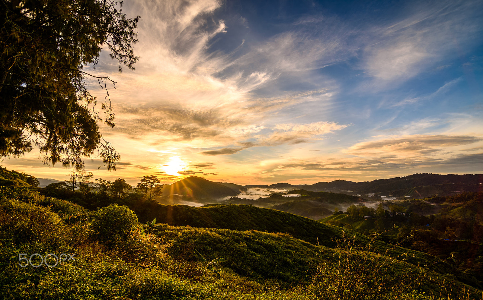 Tokina AT-X Pro 11-16mm F2.8 DX sample photo. Sunrise over boh tea photography