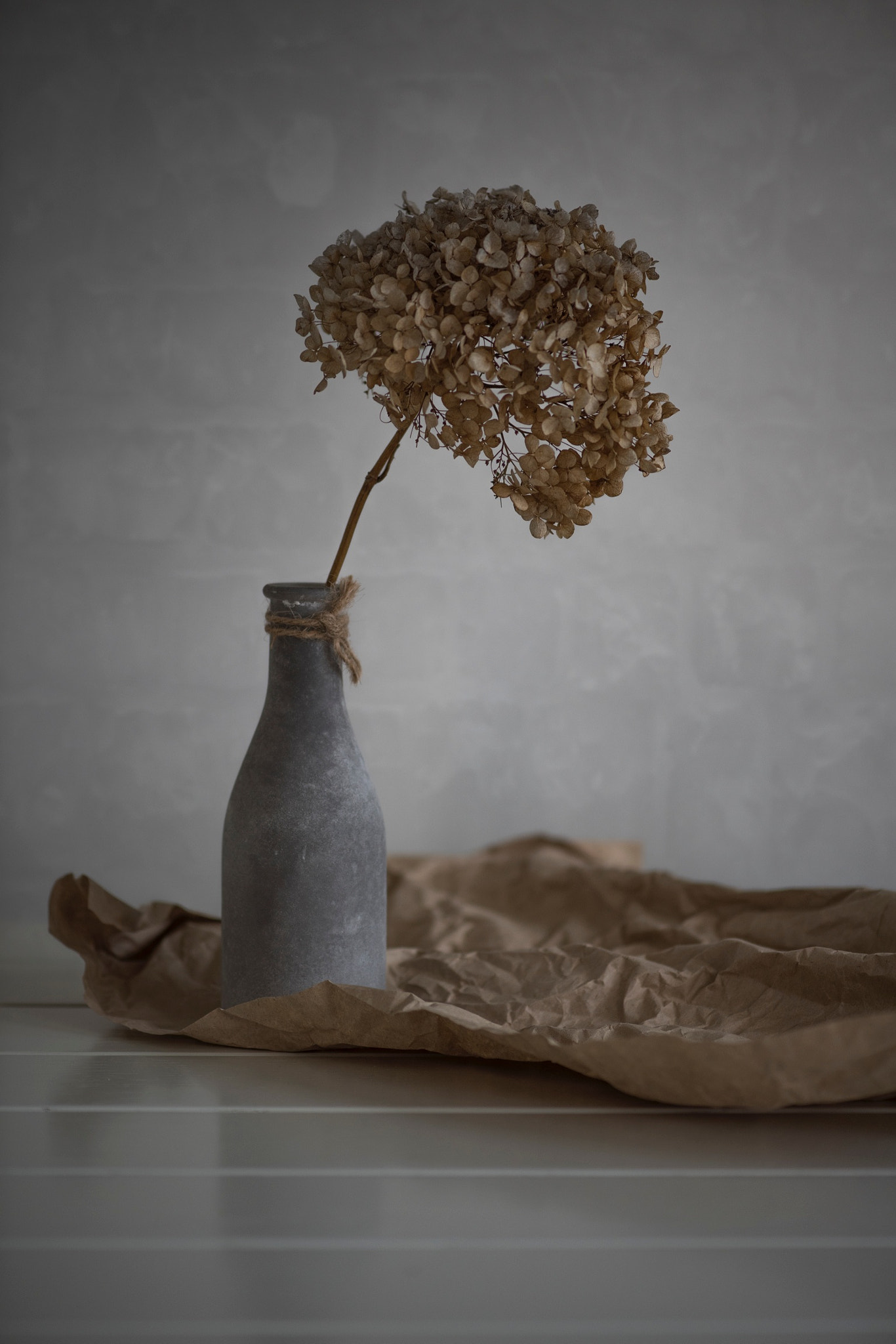 Nikon AF-S Micro-Nikkor 105mm F2.8G IF-ED VR sample photo. Hydrangea photography